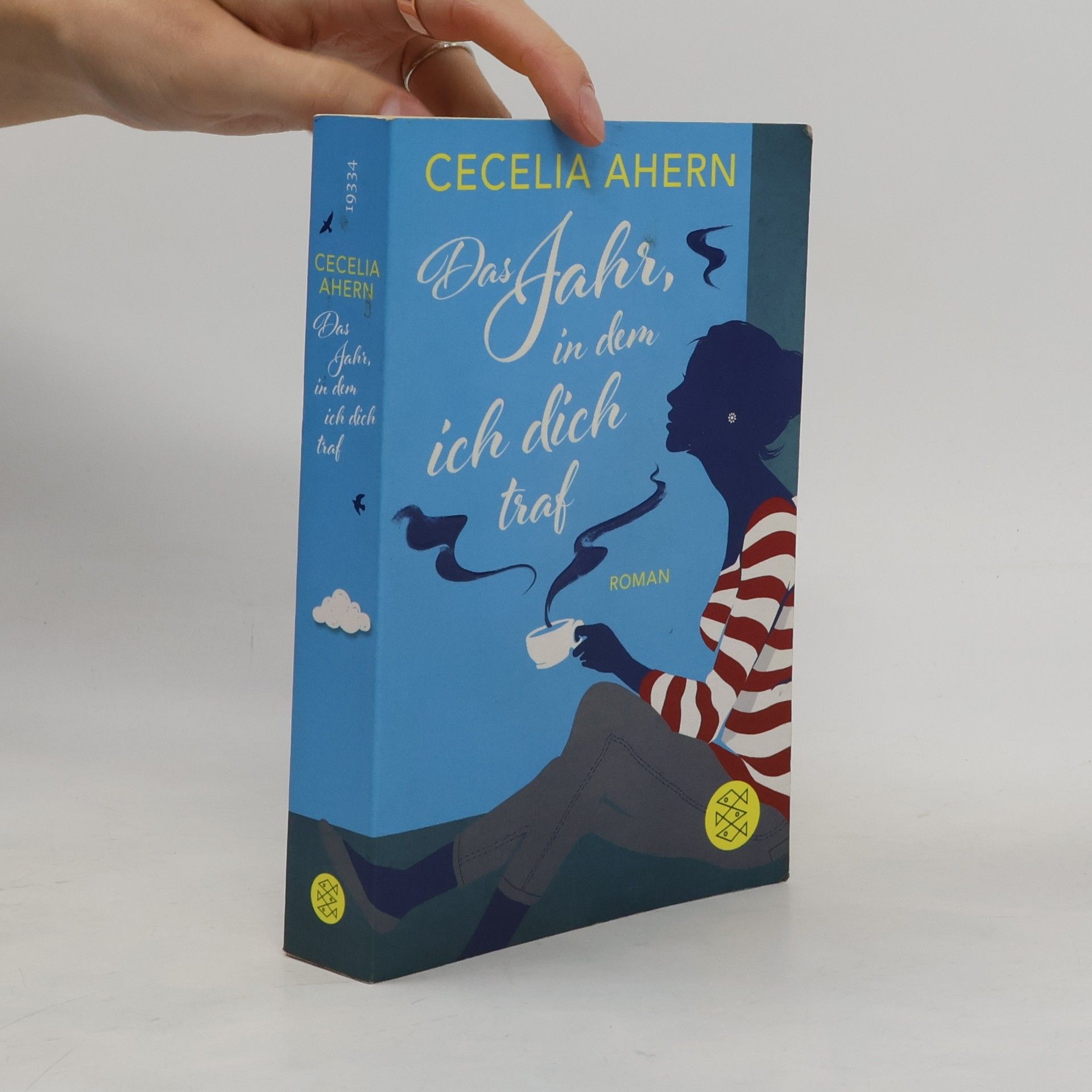 Cecelia Ahern Das Jahr, in dem ich dich traf