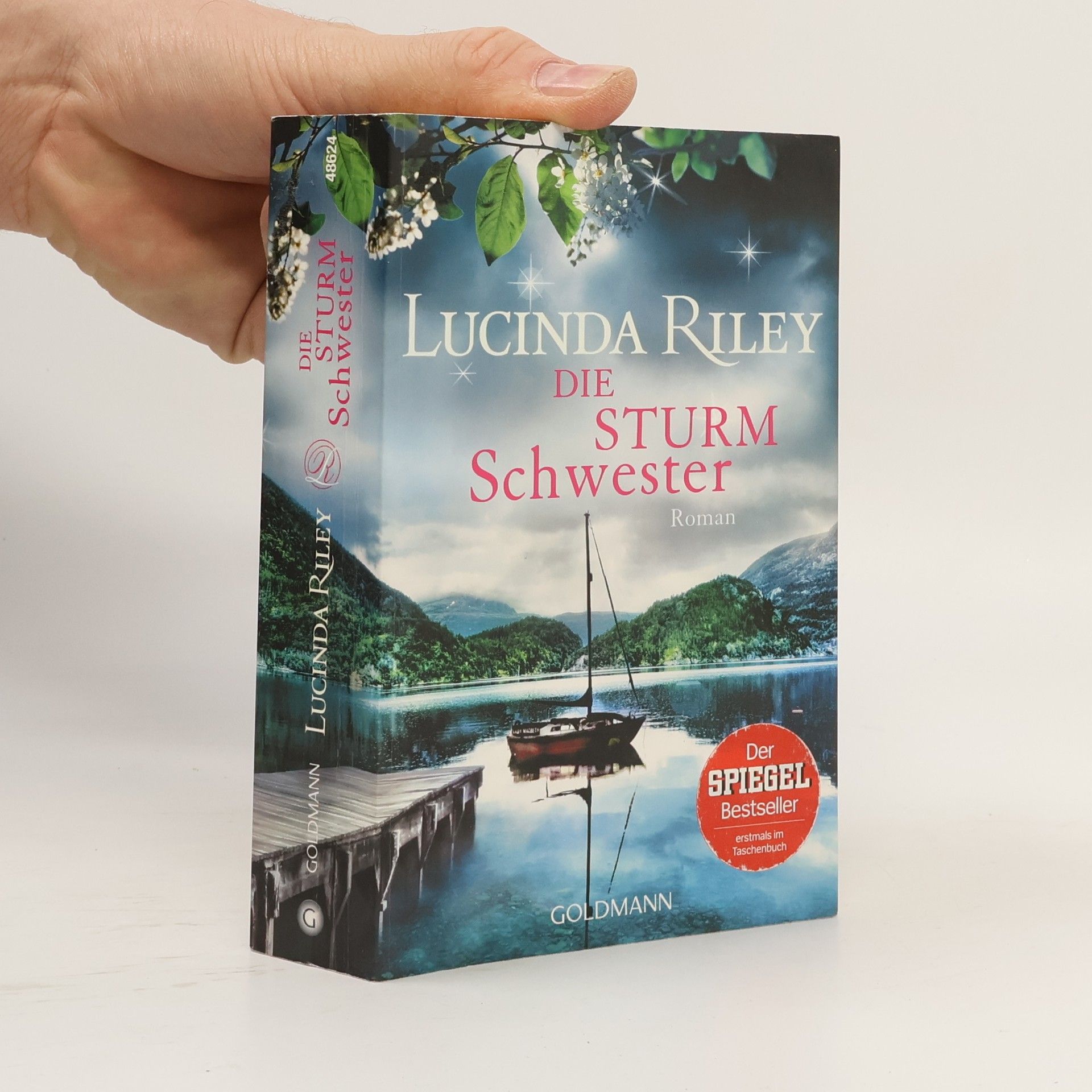 Lucinda Riley Die Sturmschwester