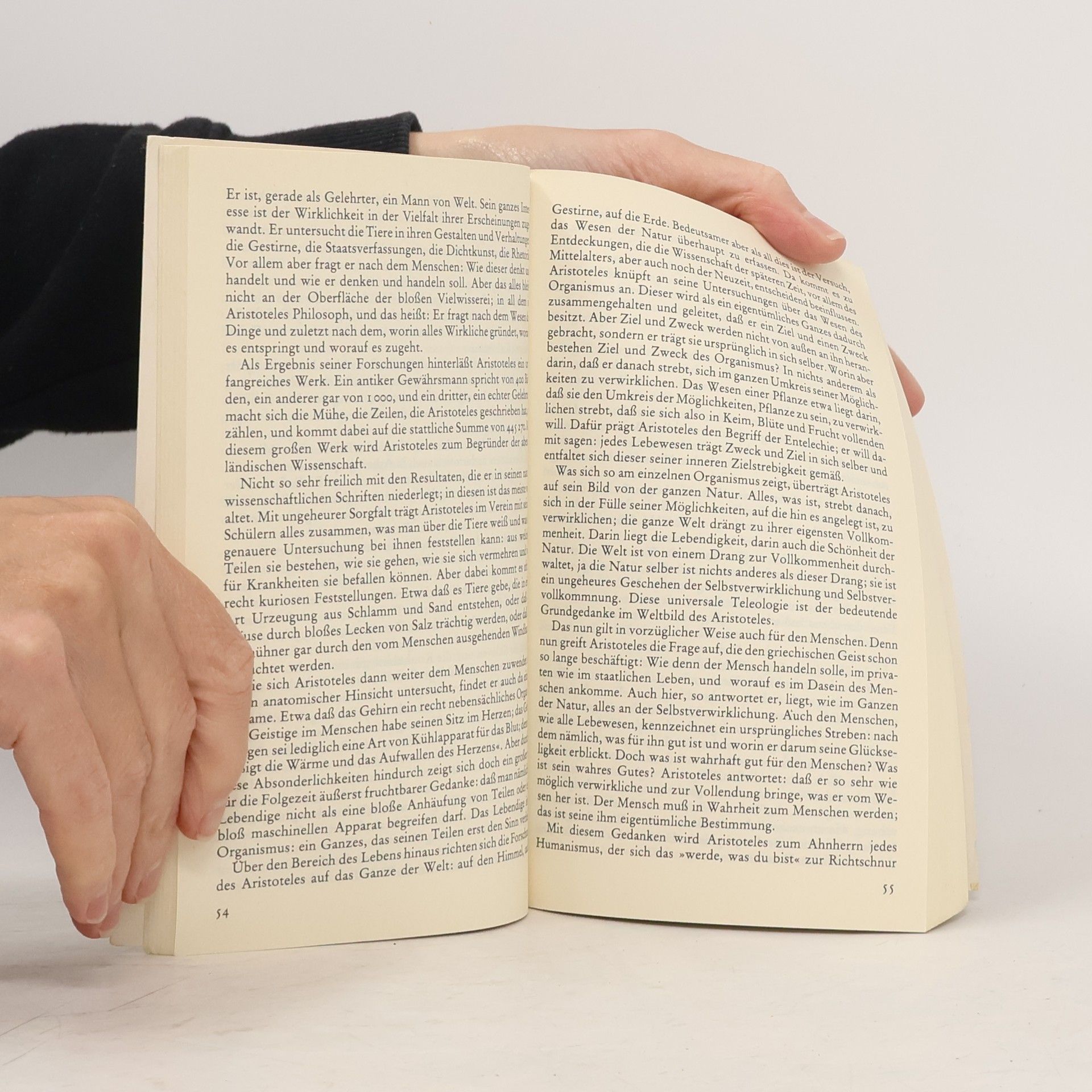 Weischedel Wilhelm Die philosophische Hintertreppe