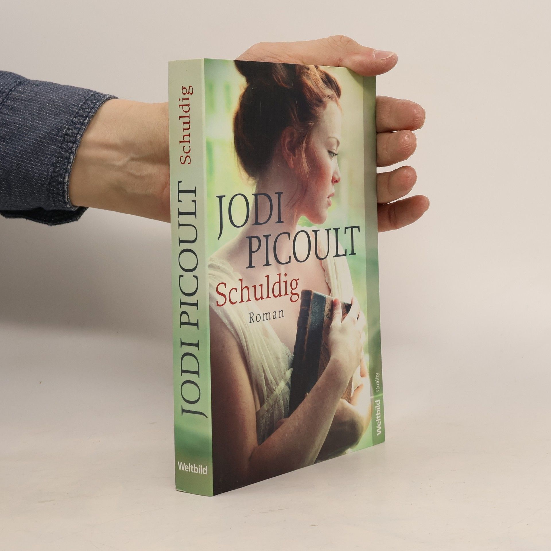 Jodi Picoult Schuldig
