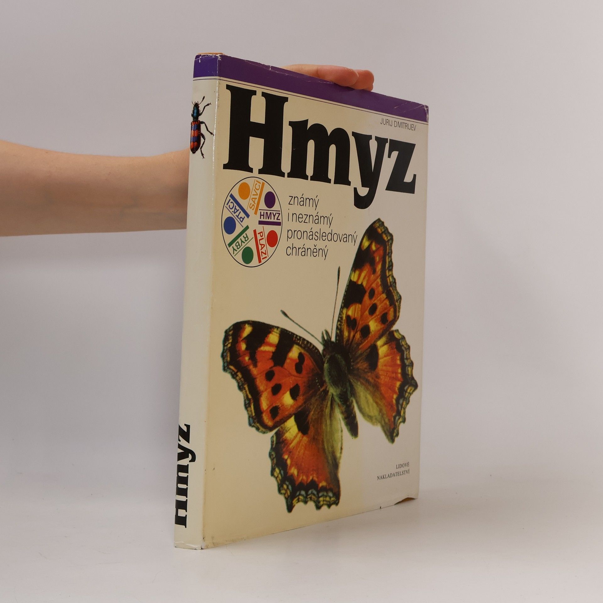 Hmyz
