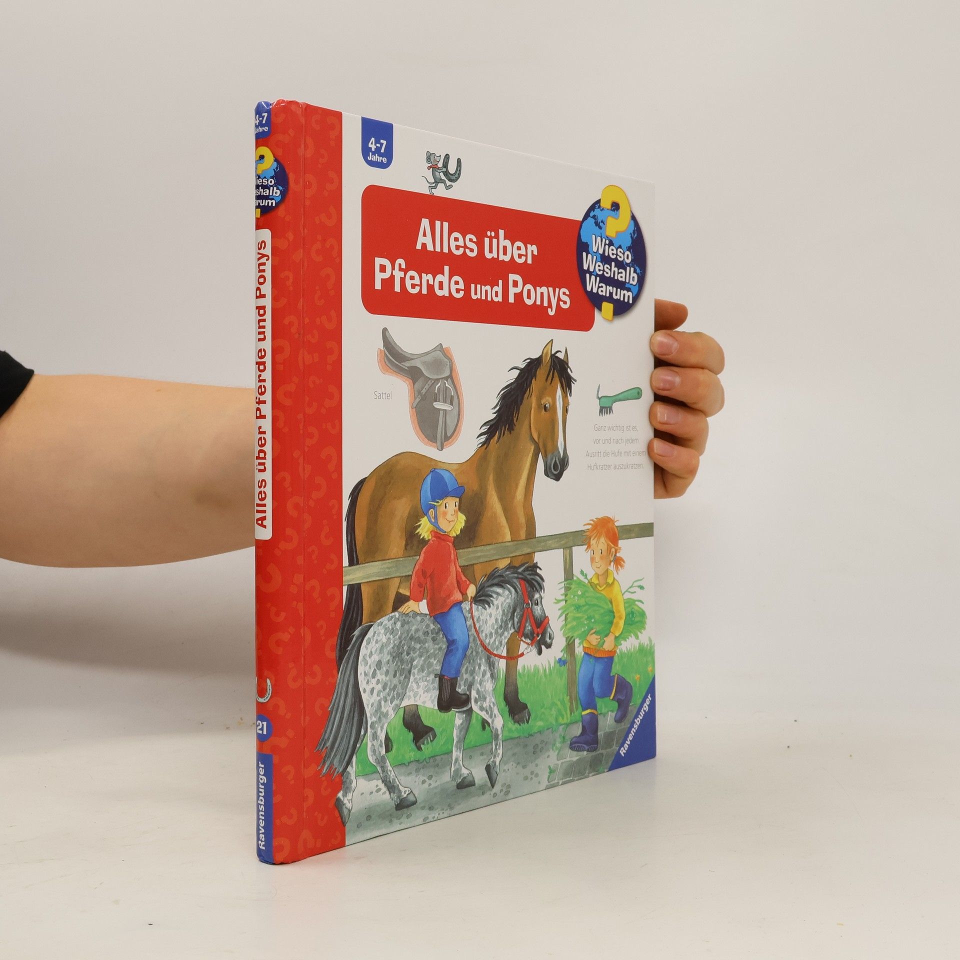 Andrea Erne Alles über Pferde und Ponys