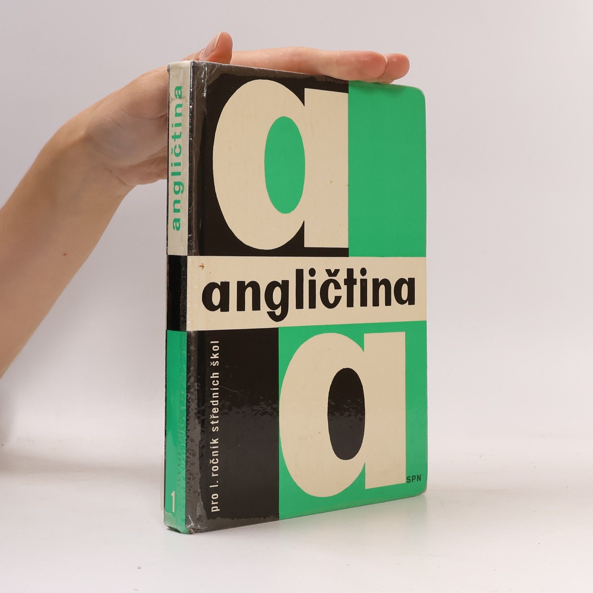 Autorenkollektiv Angličtina pro I. ročník středních škol