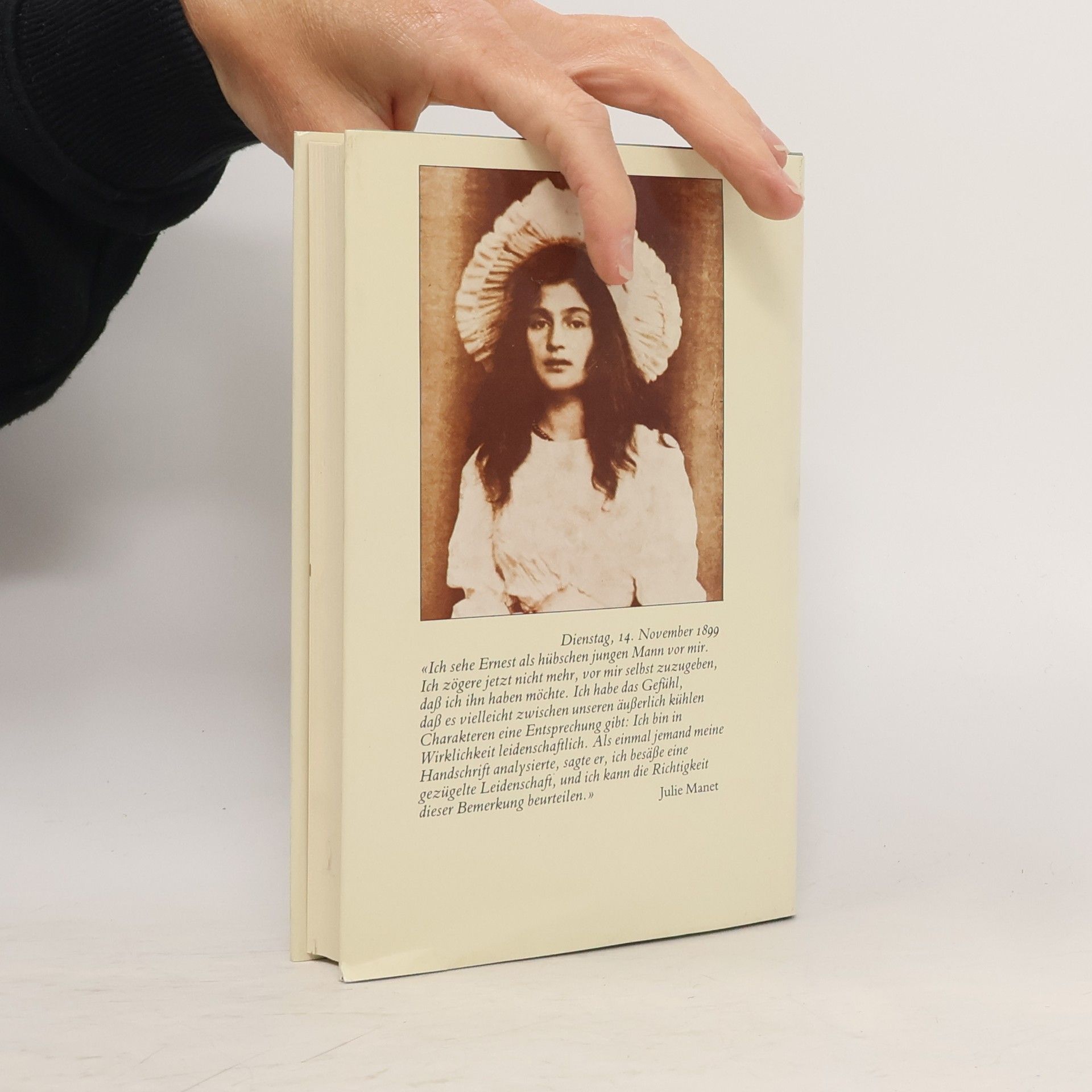 Julie Manet Das Tagebuch der Julie Manet