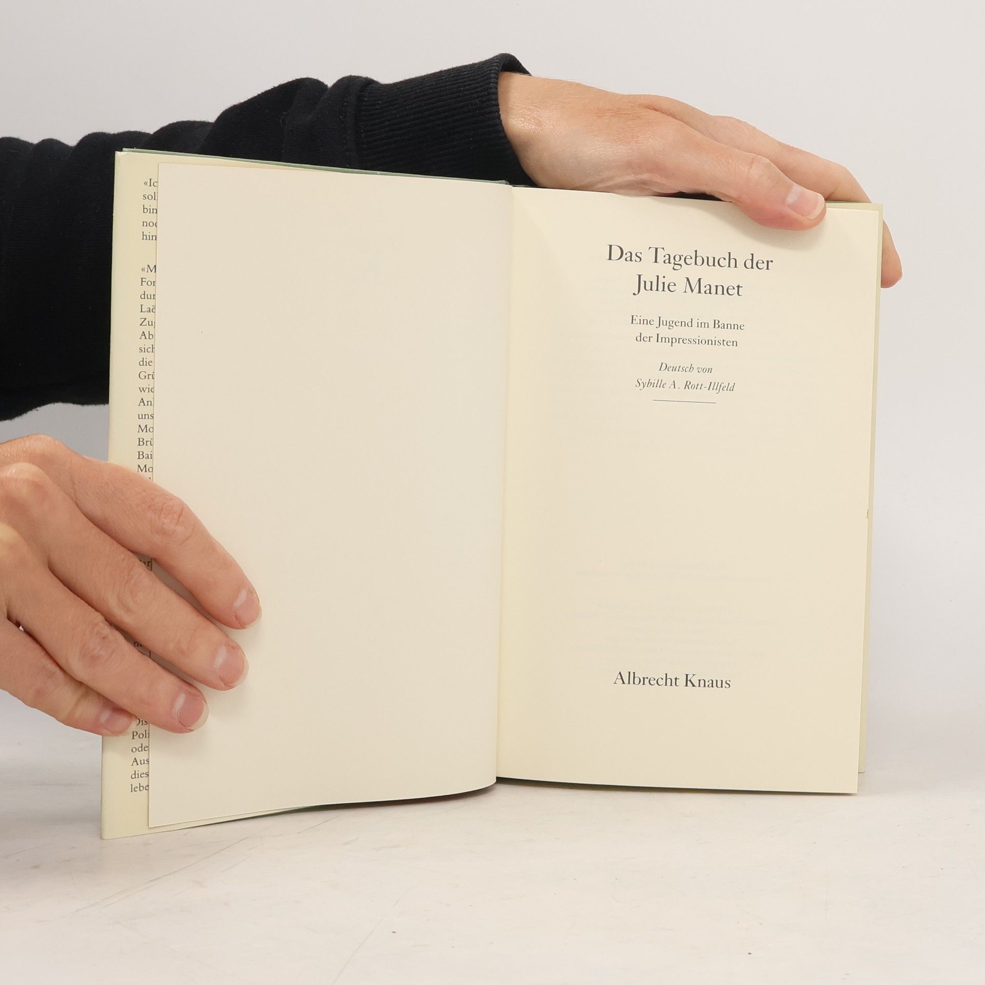 Julie Manet Das Tagebuch der Julie Manet