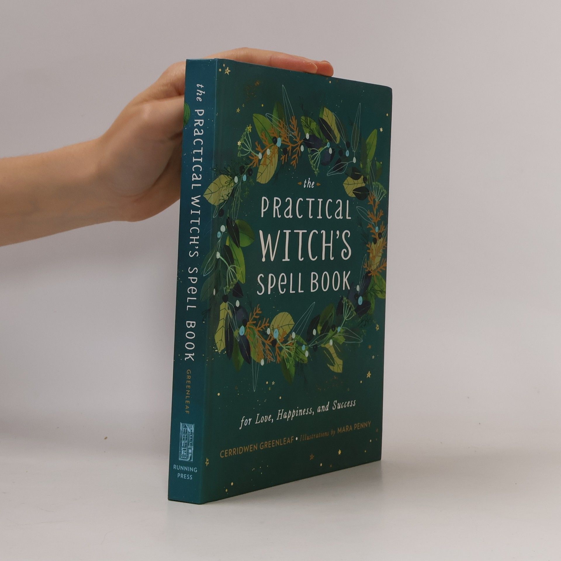 Mara Penny The Practical Witch's Spell Book