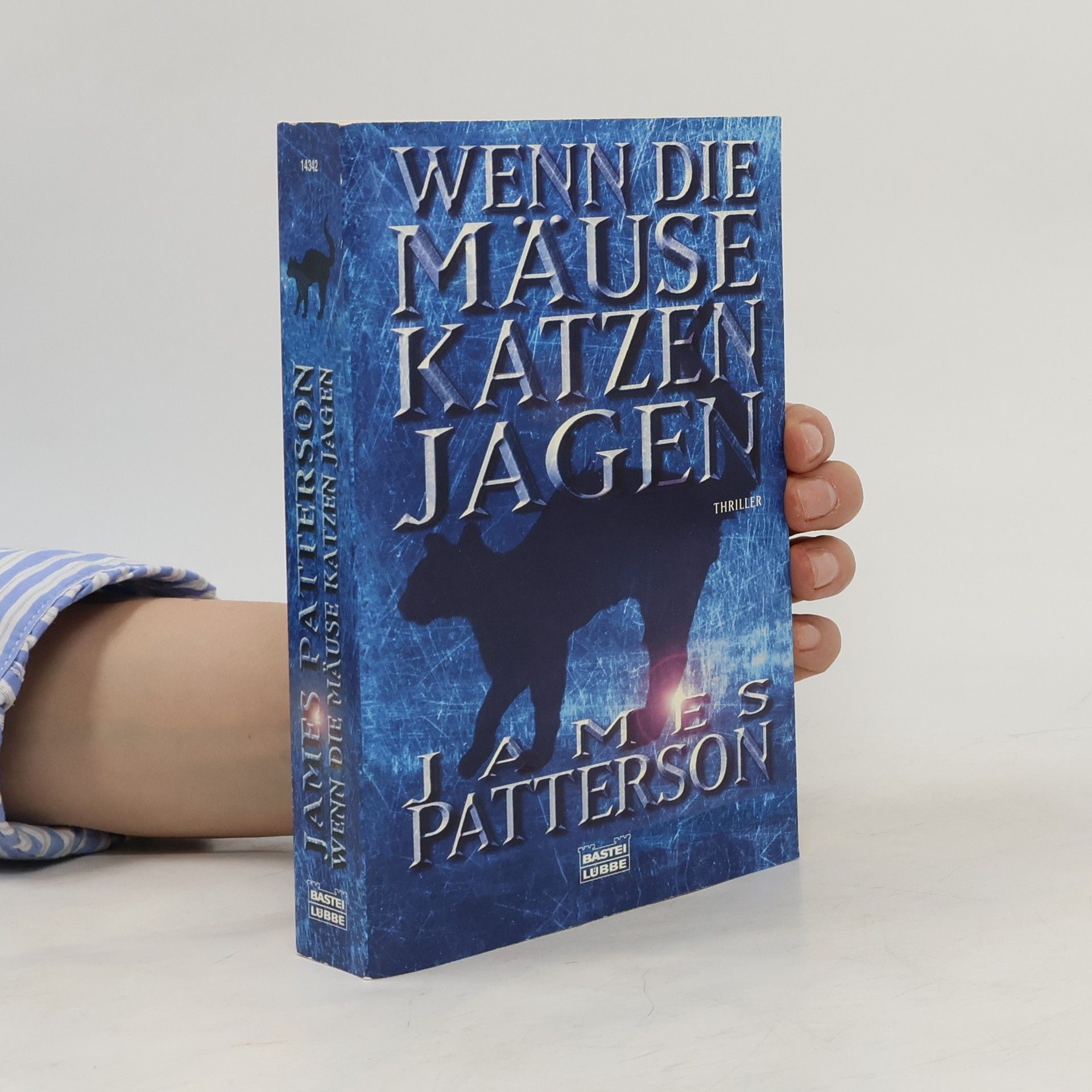 James Patterson Wenn die Mäuse Katzen jagen