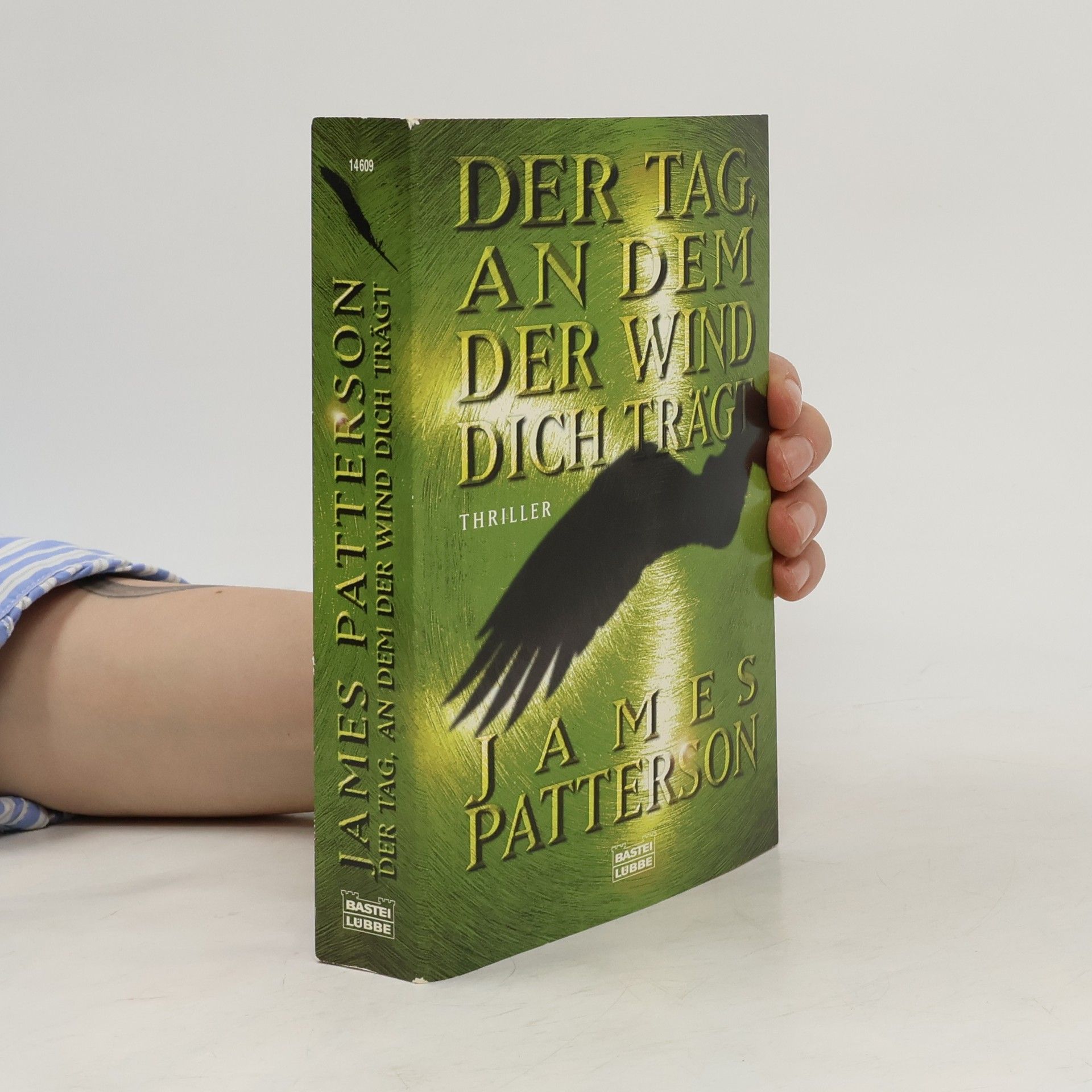 James Patterson Der Tag, an dem der Wind dich trägt