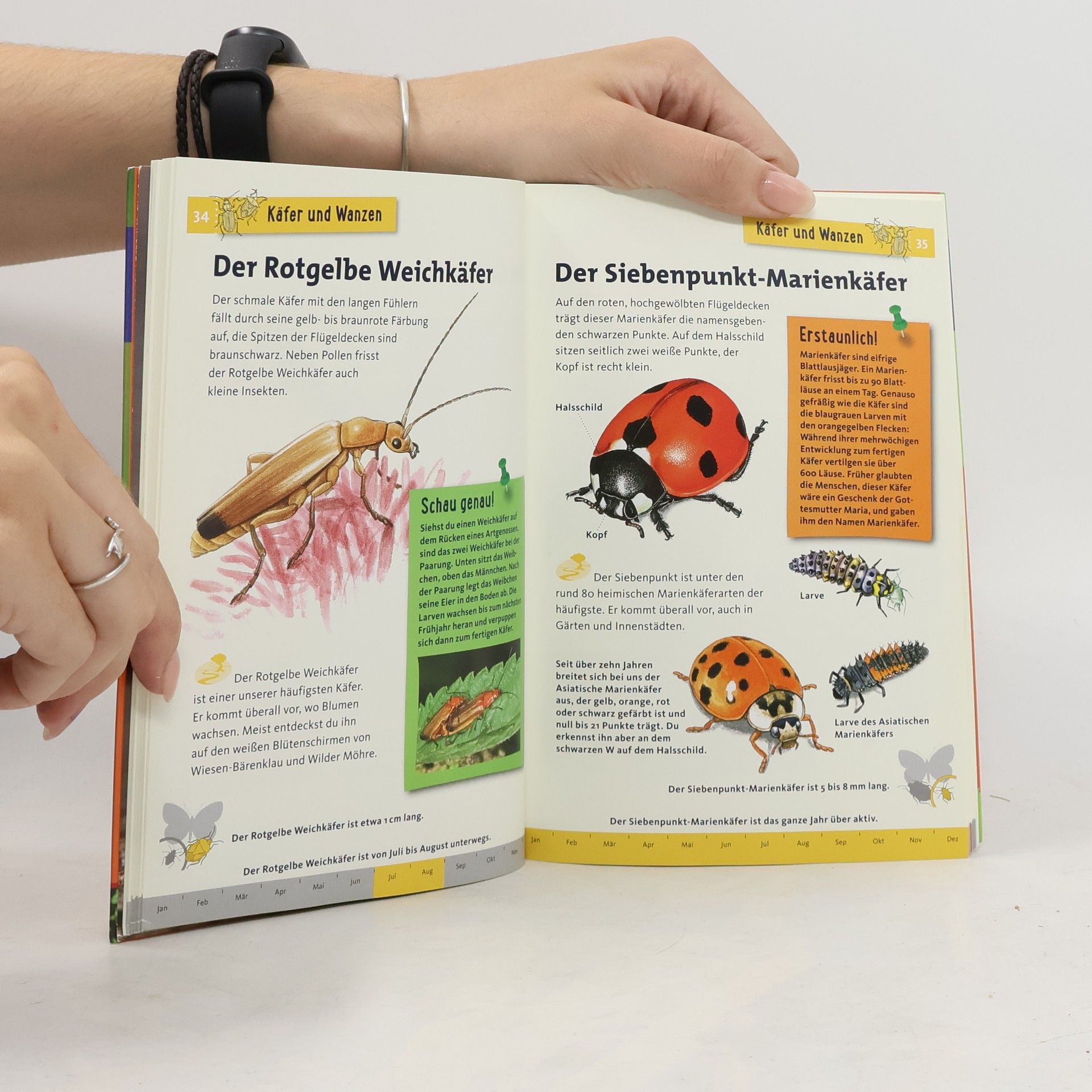 Bärbel Oftring Was krabbelt denn da?