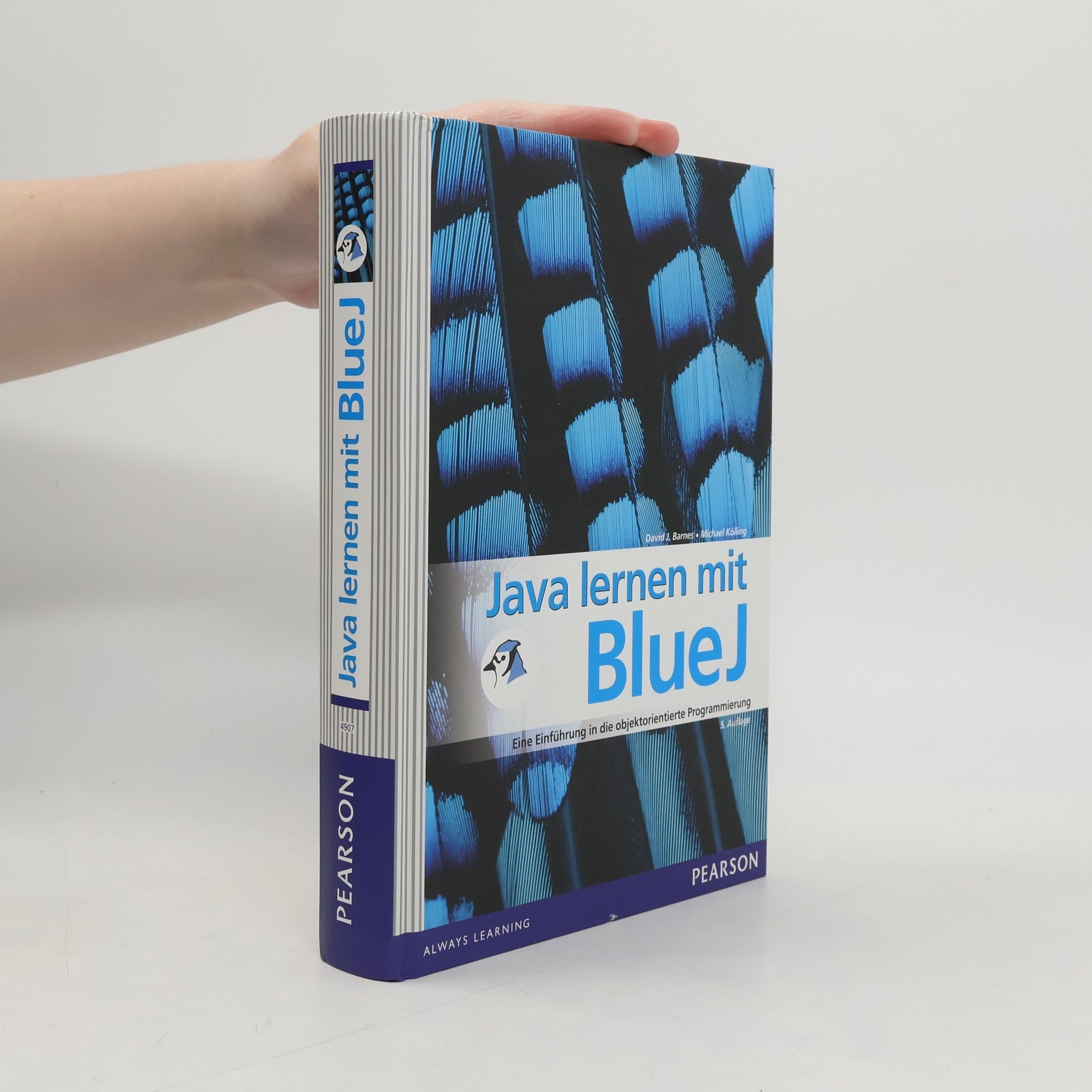 David J. Barnes Java lernen mit BlueJ