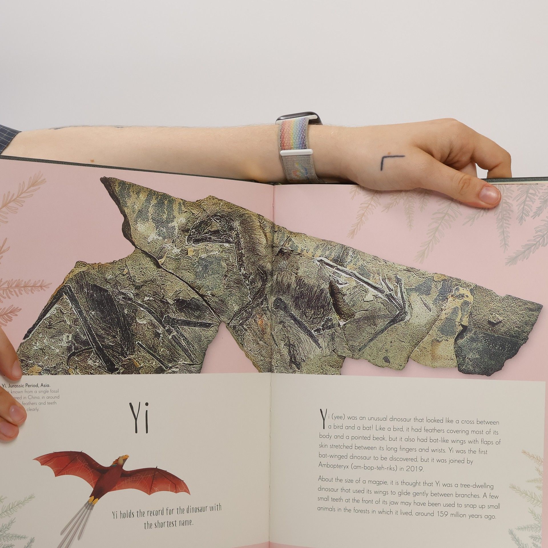 Anusuya ChinsamyTuran Dinosaurs and Other Prehistoric Life
