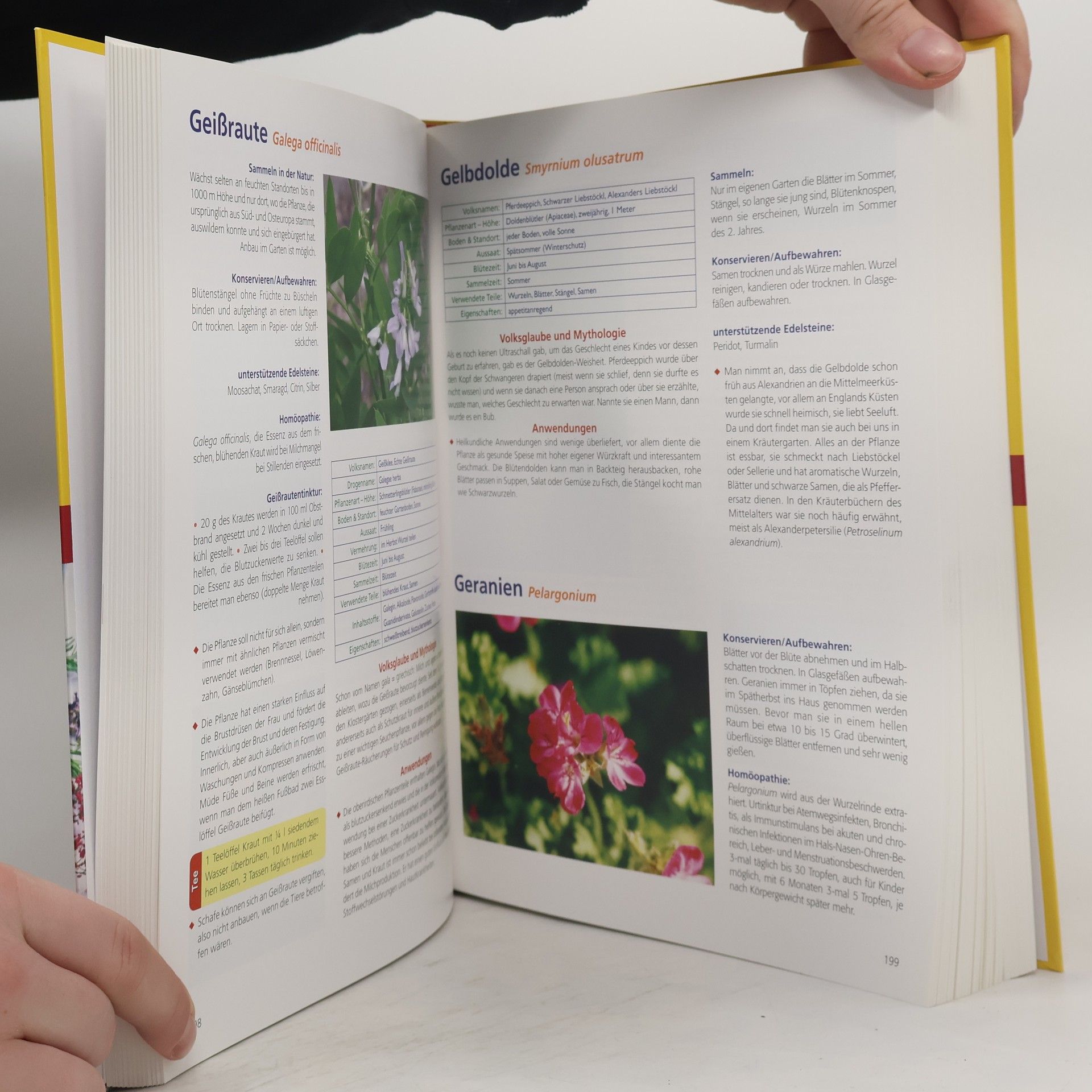 Siegrid Hirsch Die Kräuter in meinem Garten