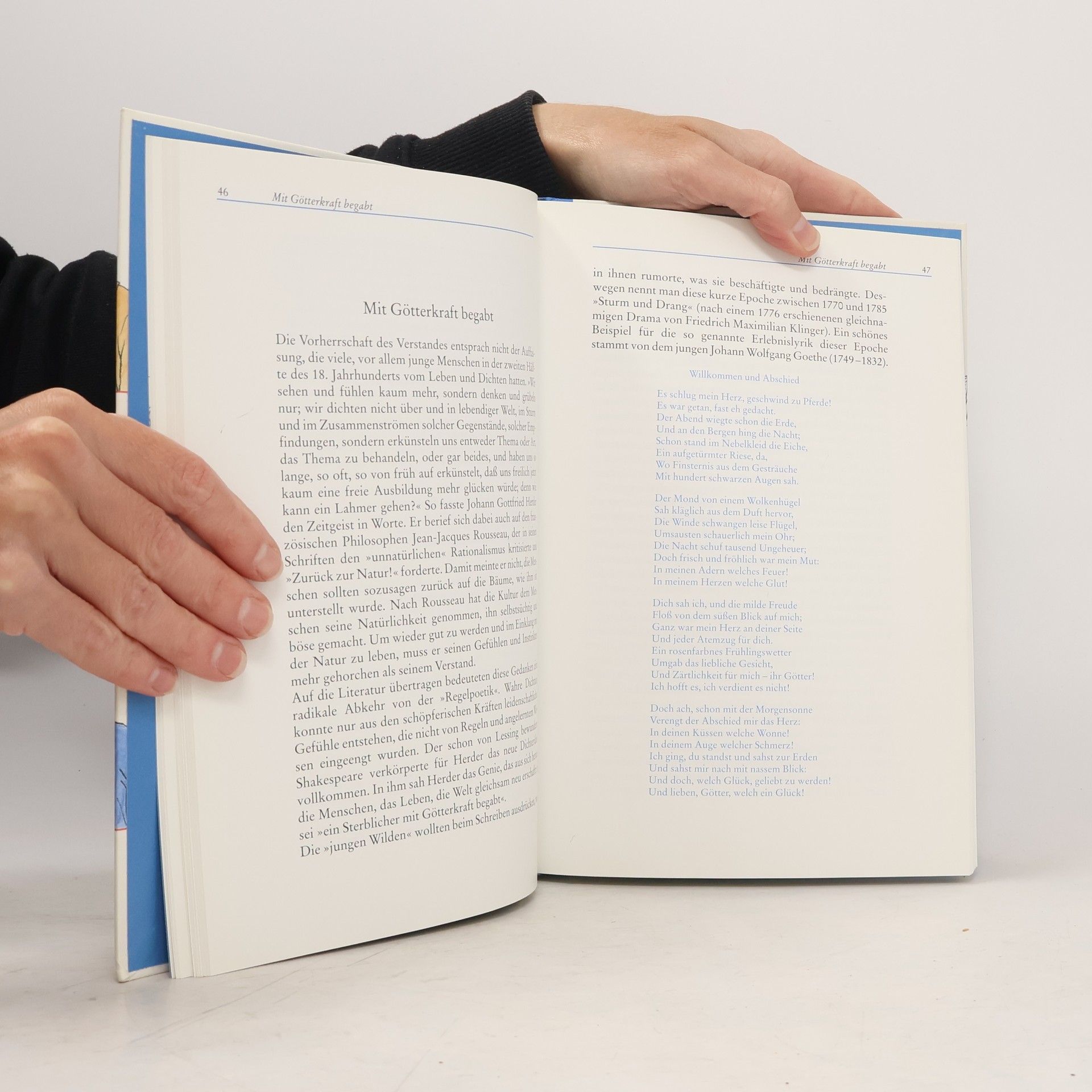 Manfred Mai Geschichte der deutschen Literatur