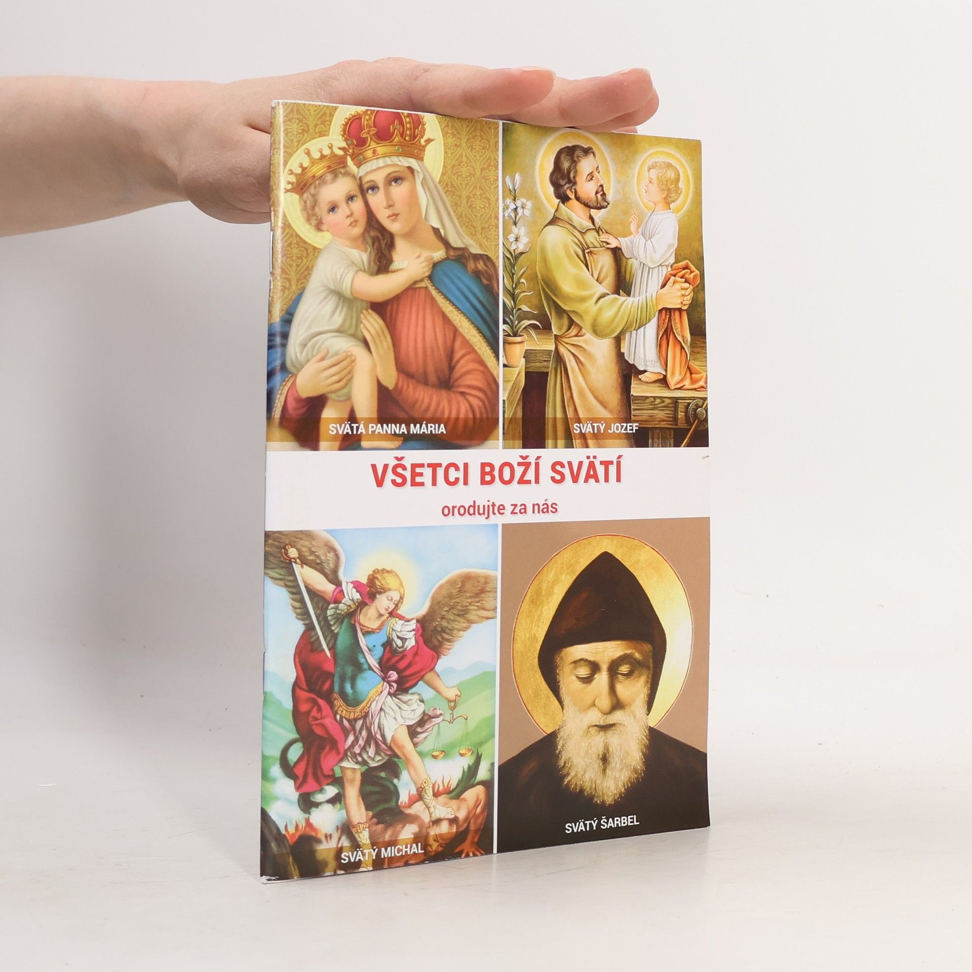 Auteurscollectief Všetci boží svätí orodujete za nás