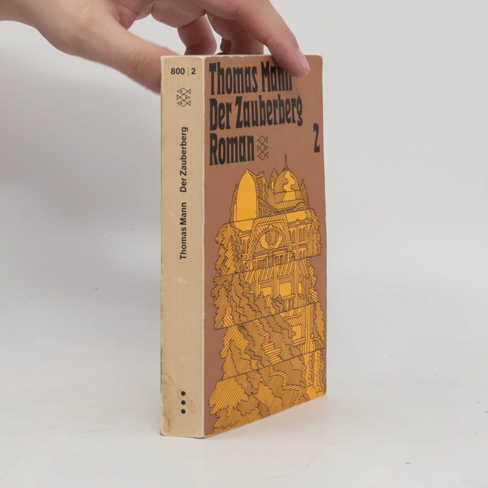 Thomas Mann Der Zauberberg 2
