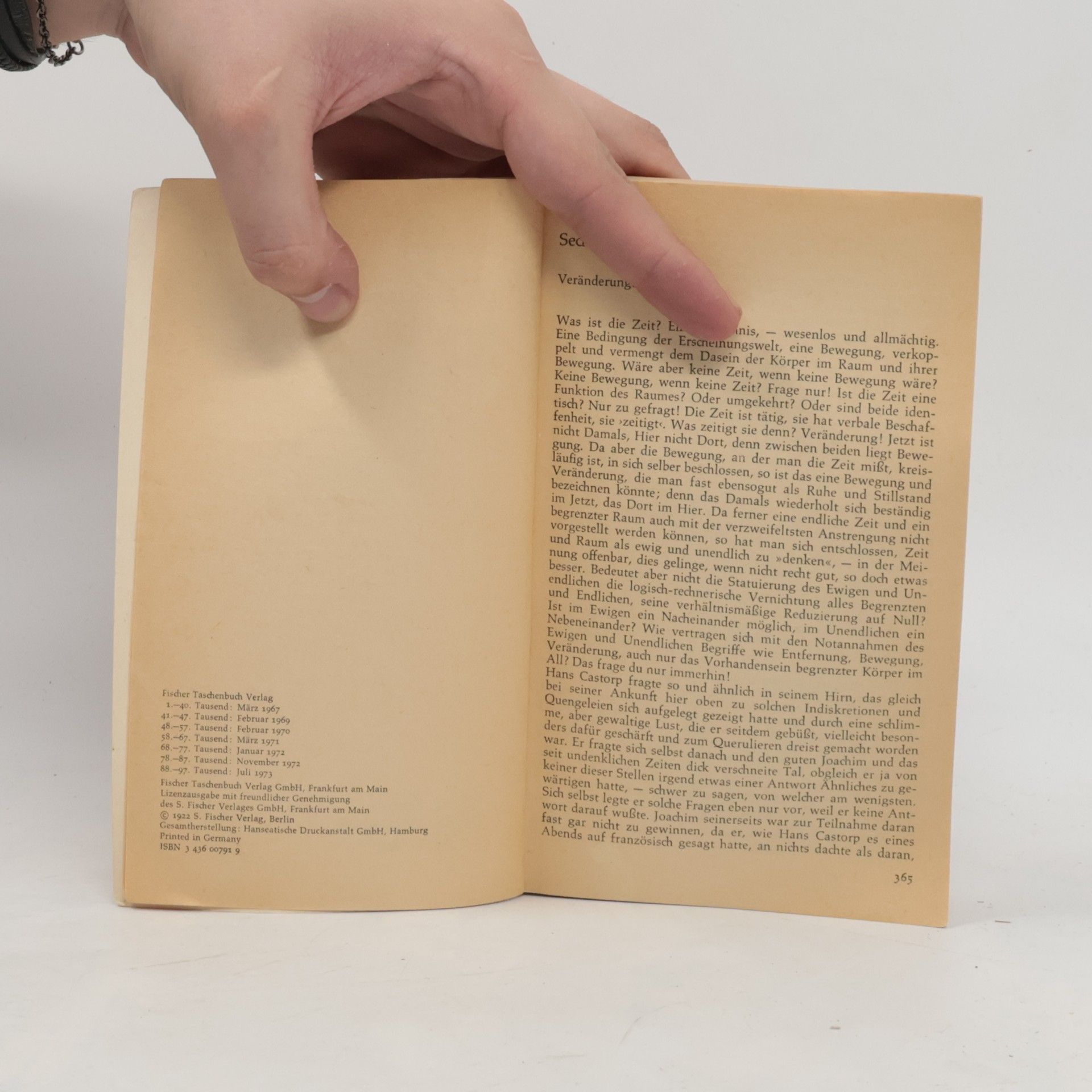 Thomas Mann Der Zauberberg 2