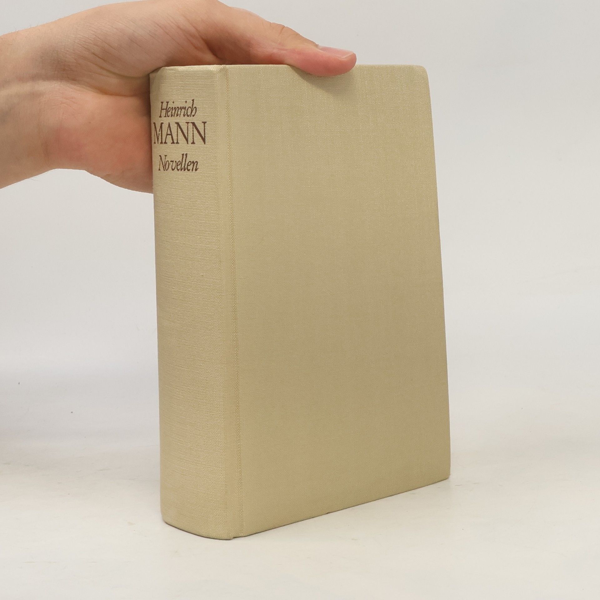 Heinrich Mann Novellen