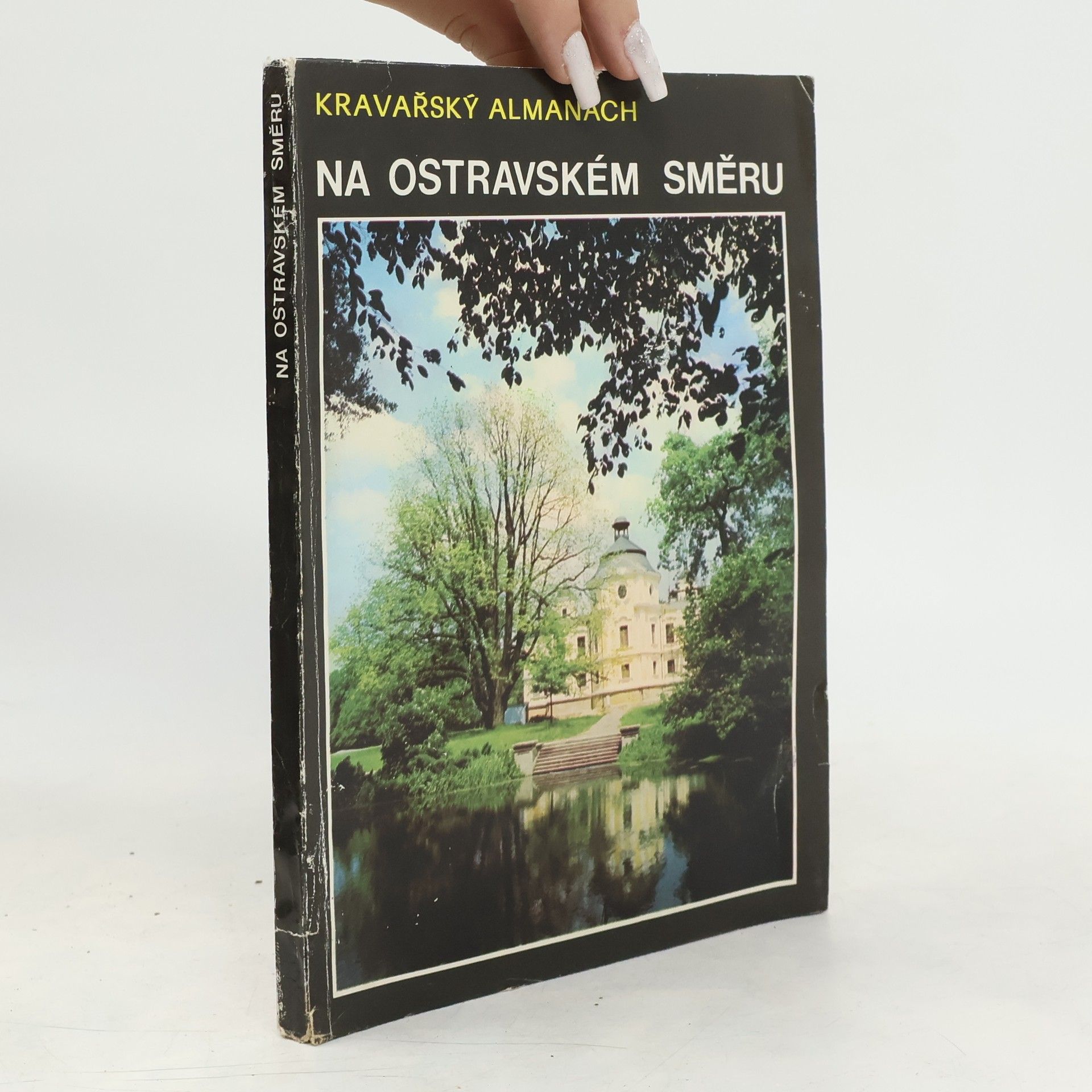 Auteurscollectief Na Ostravském směru