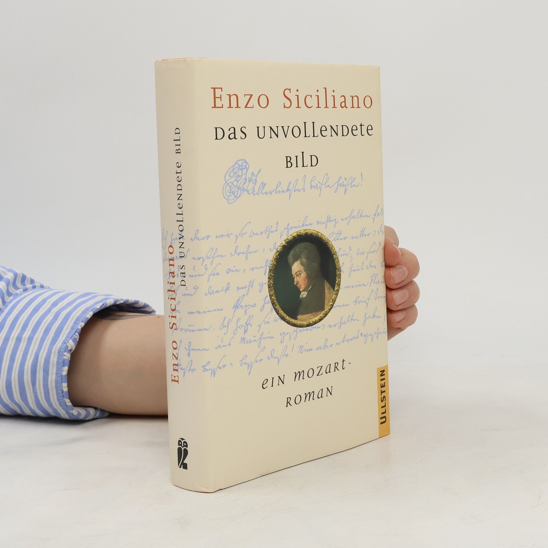 Enzo Siciliano Das unvollendete Bild