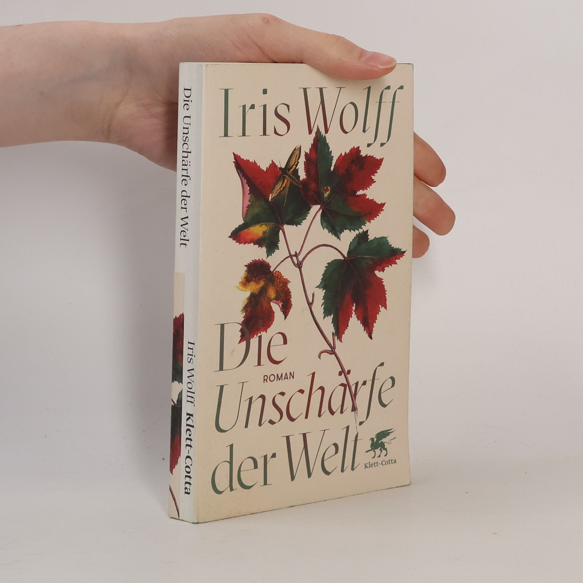 Iris Wolff Die Unschärfe der Welt