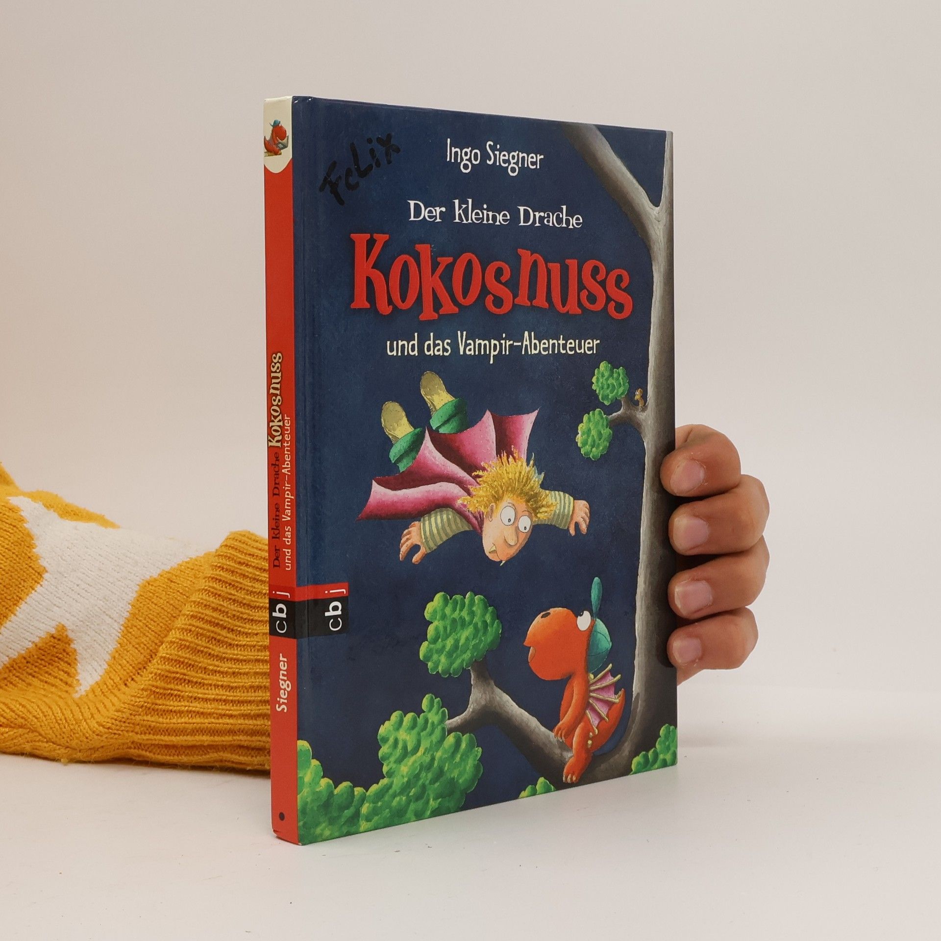 Ingo Seigner Der kleine Drache Kokosnuss und das Vampir-Abenteuer