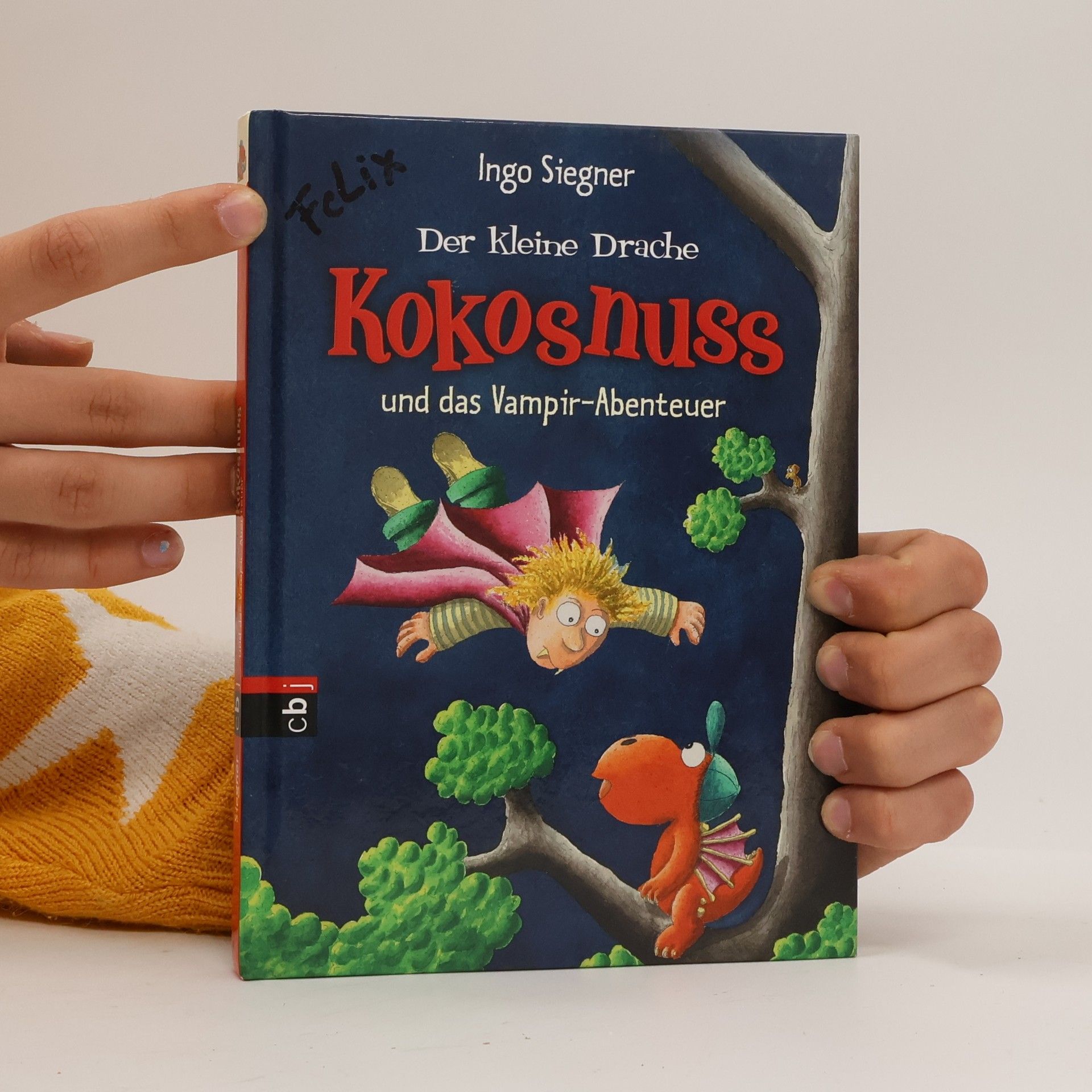 Ingo Seigner Der kleine Drache Kokosnuss und das Vampir-Abenteuer
