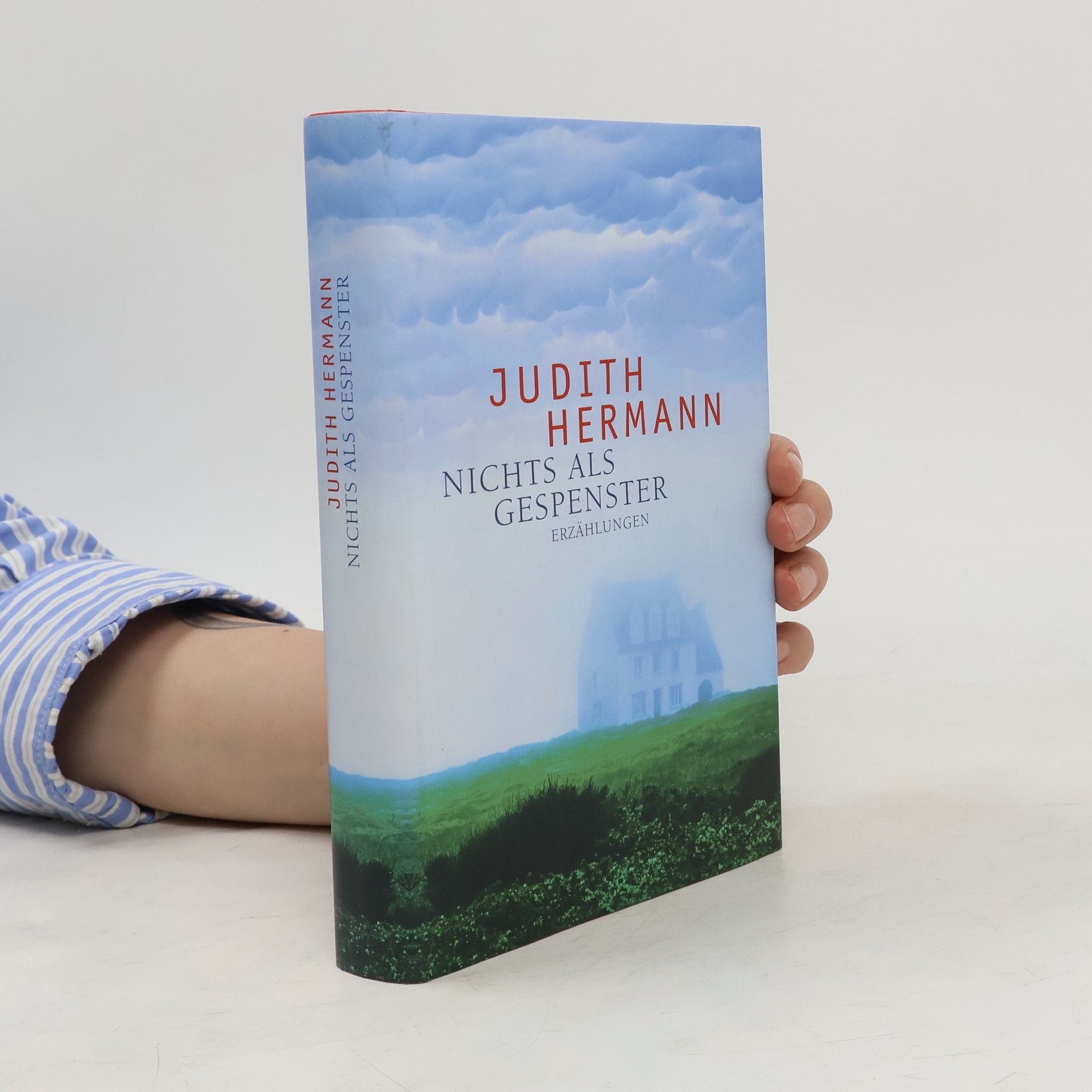 Judith Hermann Nichts als Gespenster. Erzählungen