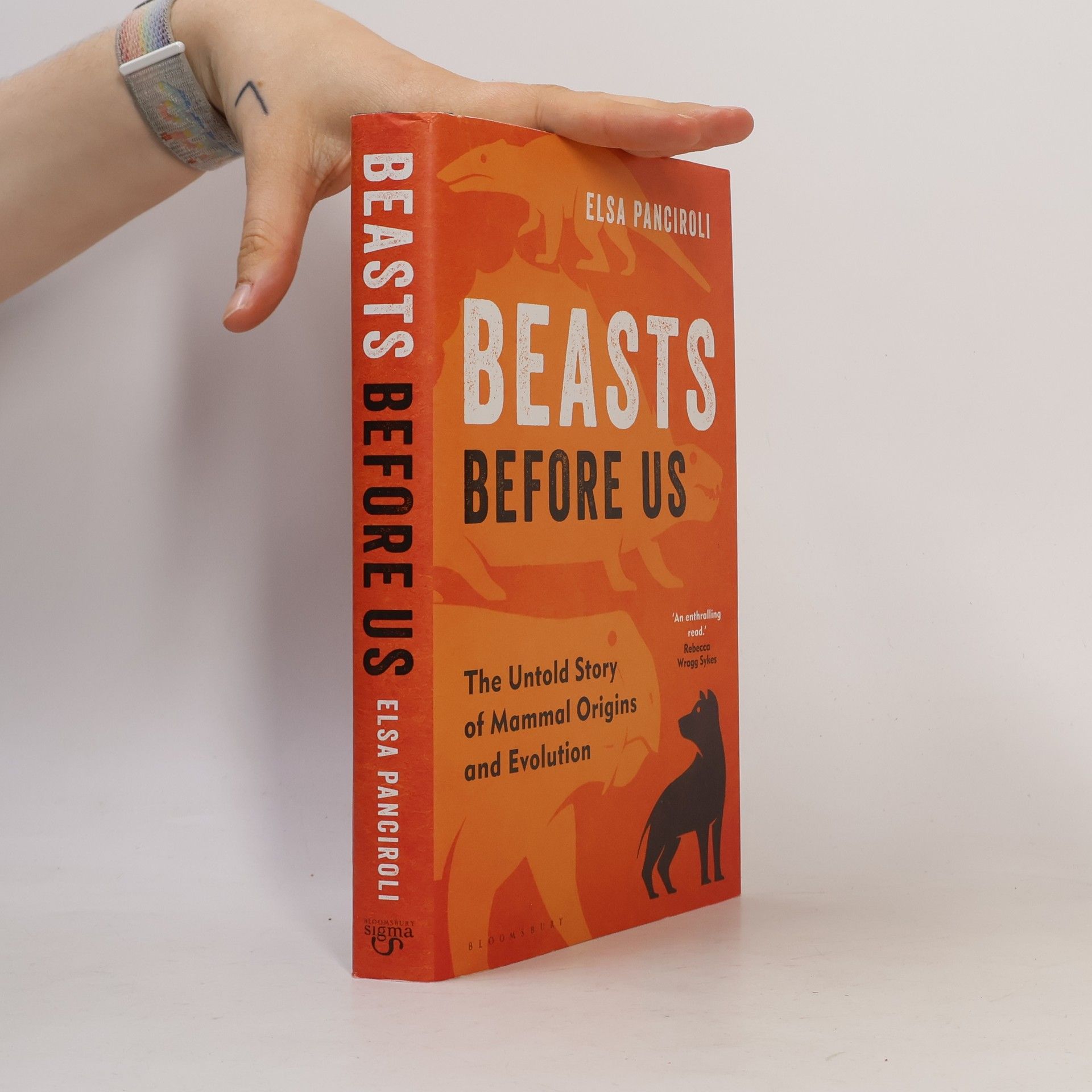 Elsa Panciroli Beasts Before Us