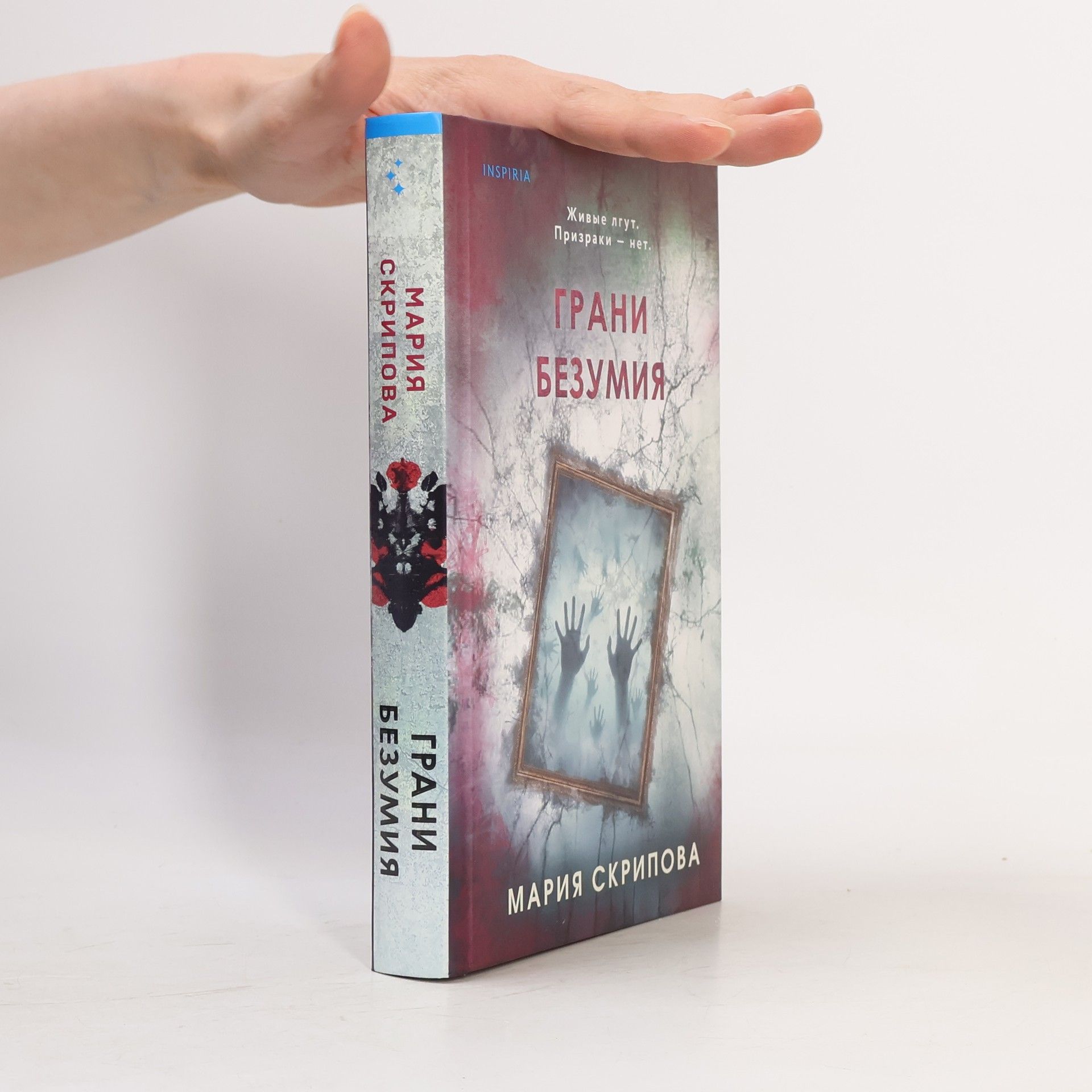 Мария Александровна Скрипова Грани безумия