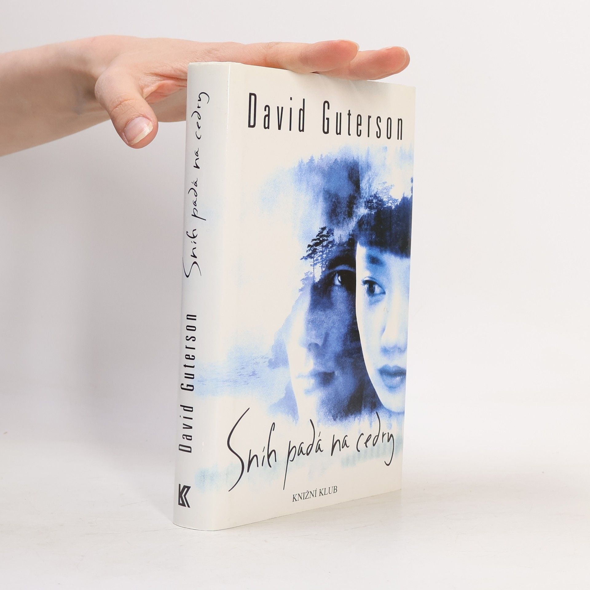 David Guterson Sníh padá na cedry