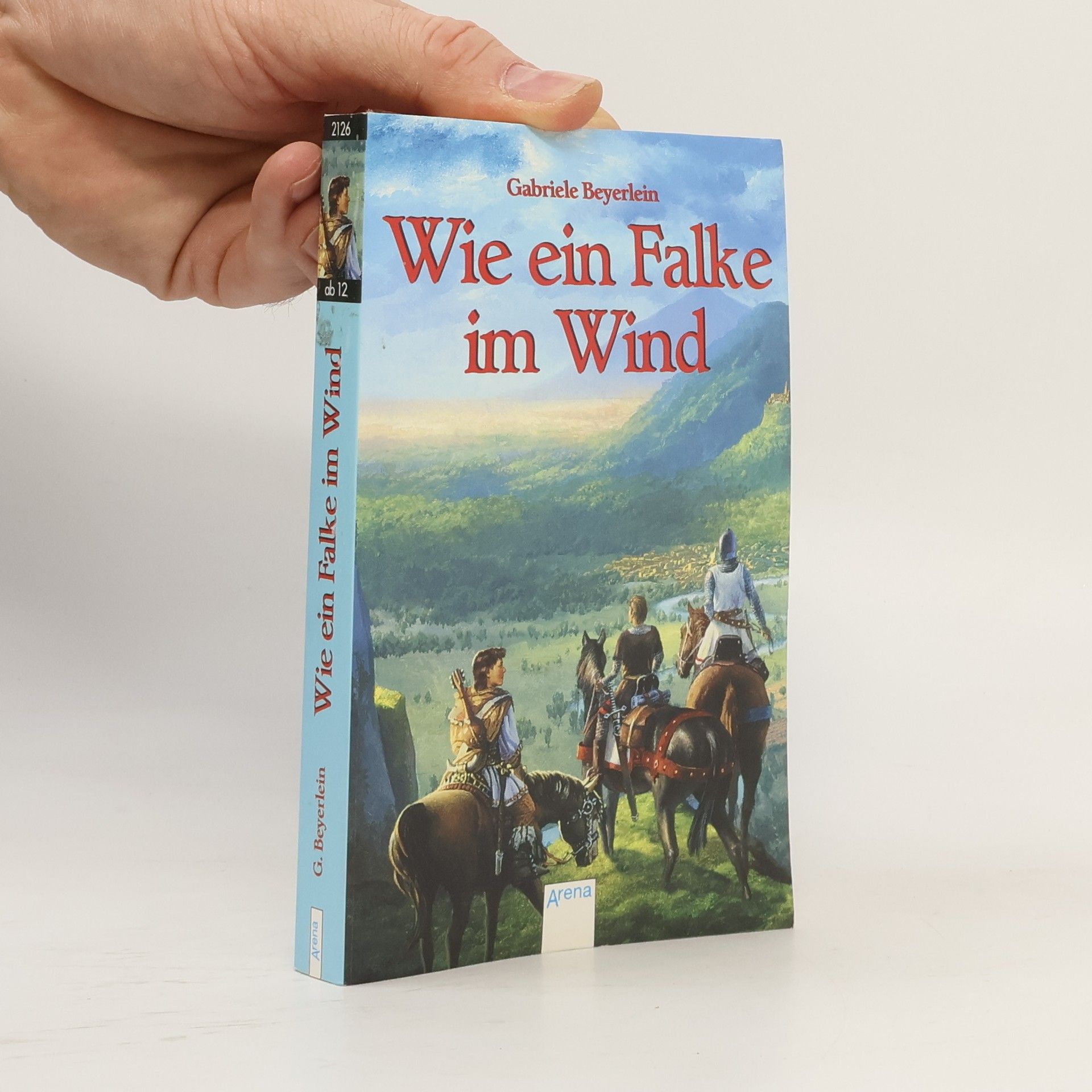 Gabriele Beyerlein Wie ein Falke im Wind