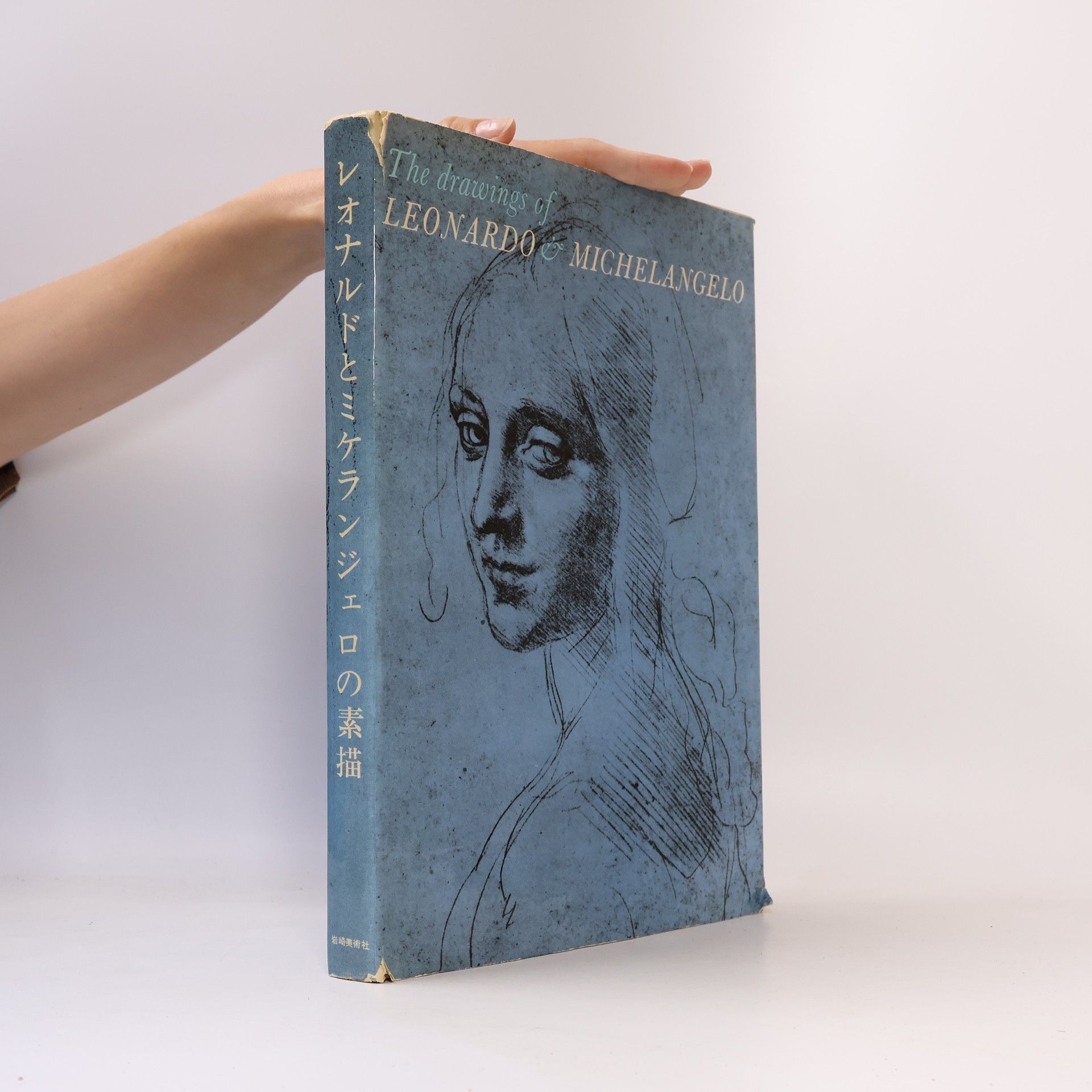 Autorenkollektiv The drawings of Leonardo & Michelangelo