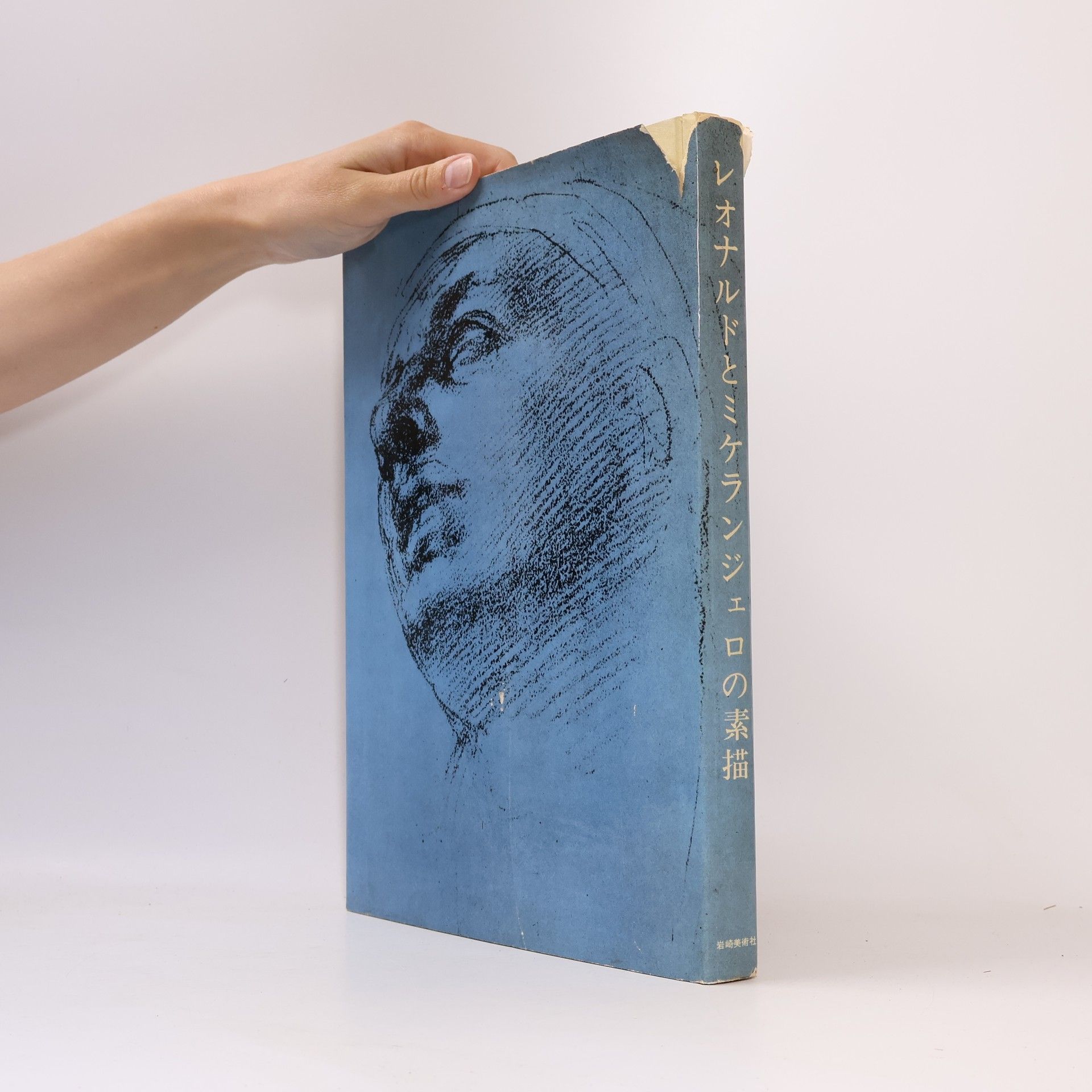 Autorenkollektiv The drawings of Leonardo & Michelangelo