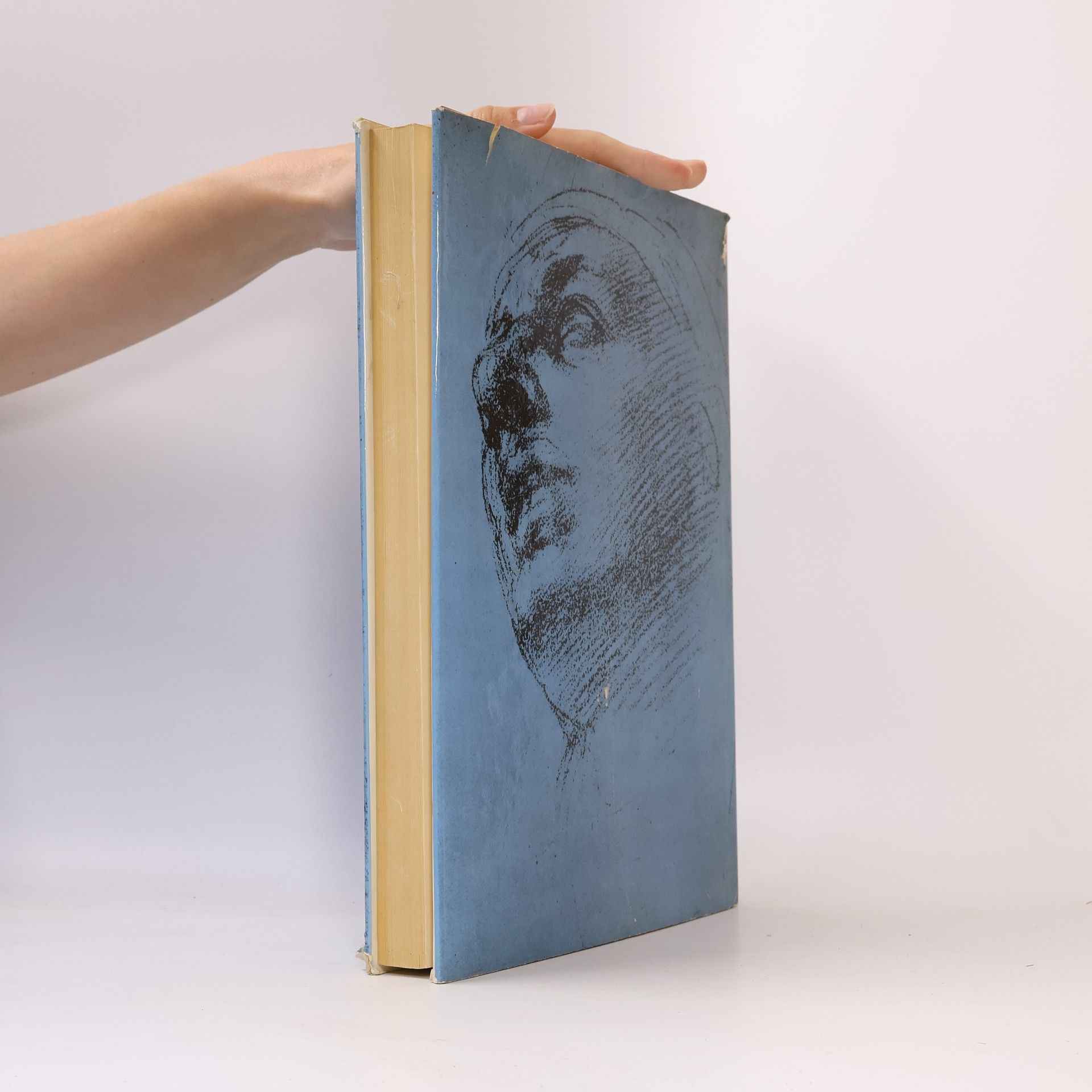 Autorenkollektiv The drawings of Leonardo & Michelangelo