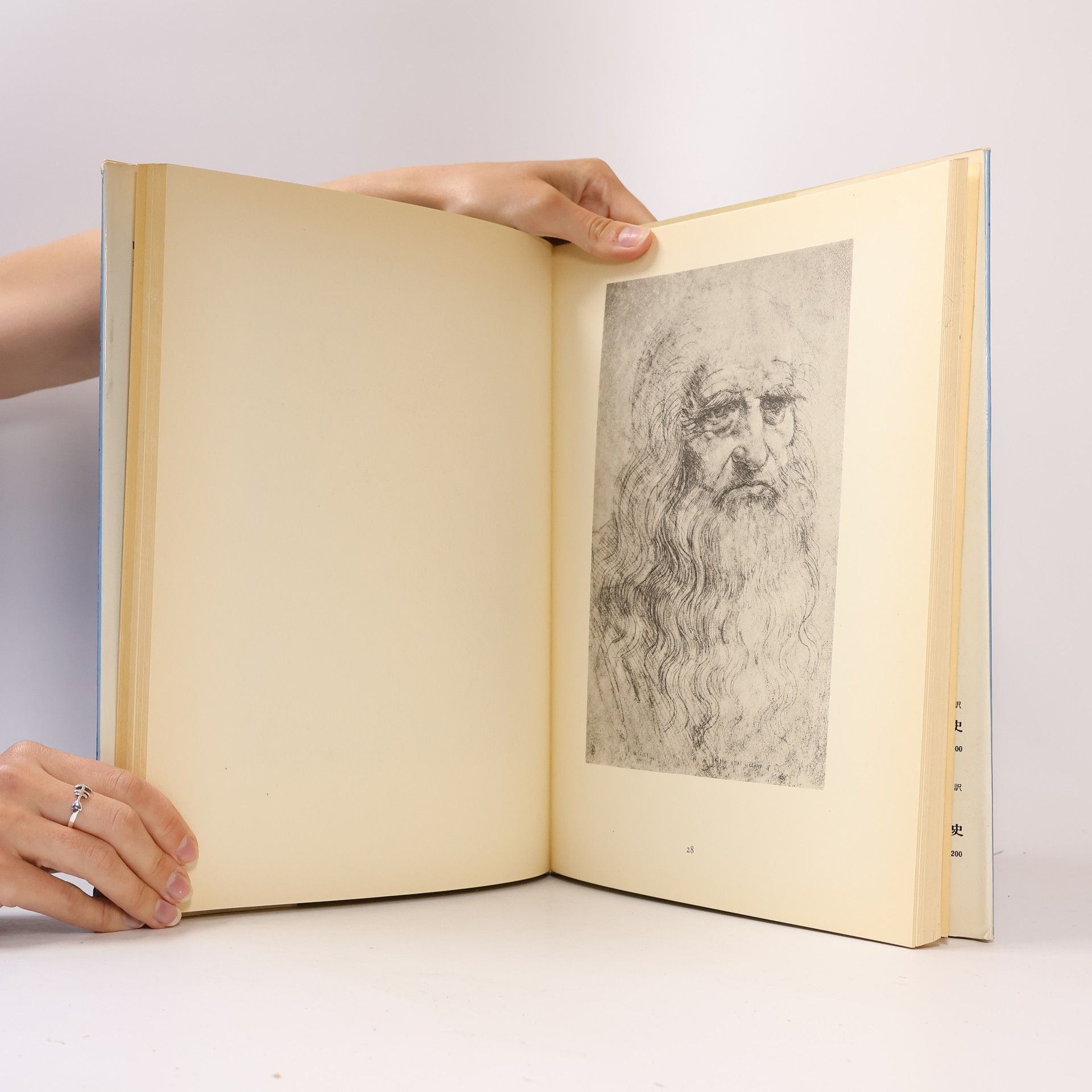 Autorenkollektiv The drawings of Leonardo & Michelangelo