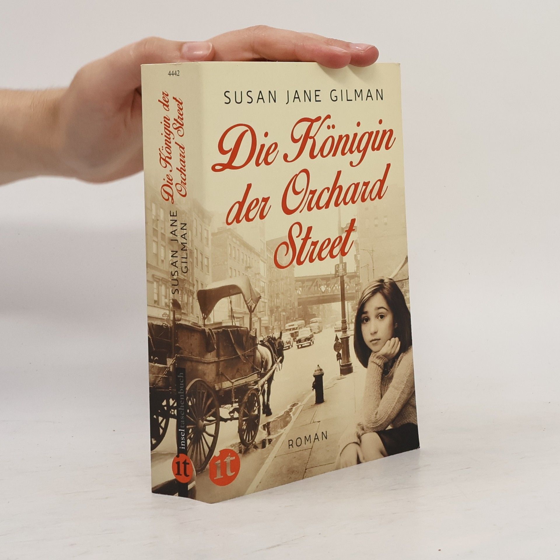 Susan Jane Gilman Die Königin der Orchard Street
