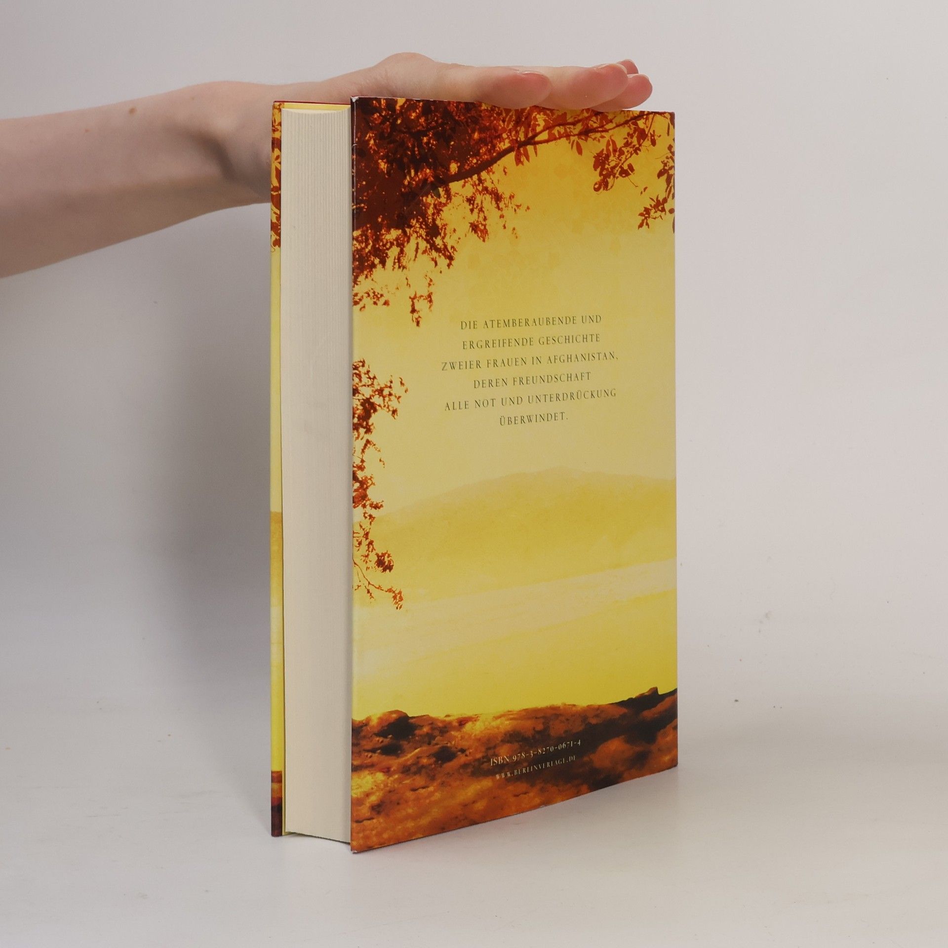 Khaled Hosseini Tausend strahlende Sonnen
