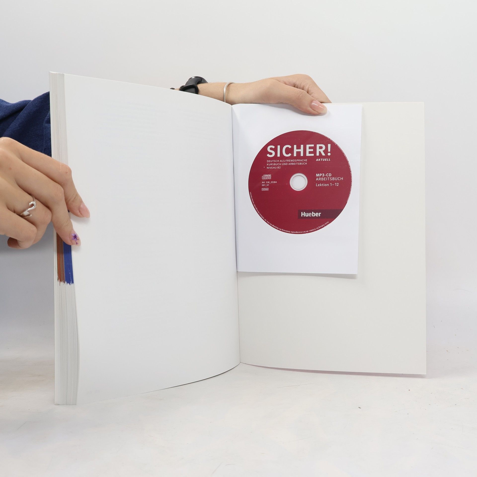 Michaela Perlmann-Balme Sicher! Aktuell