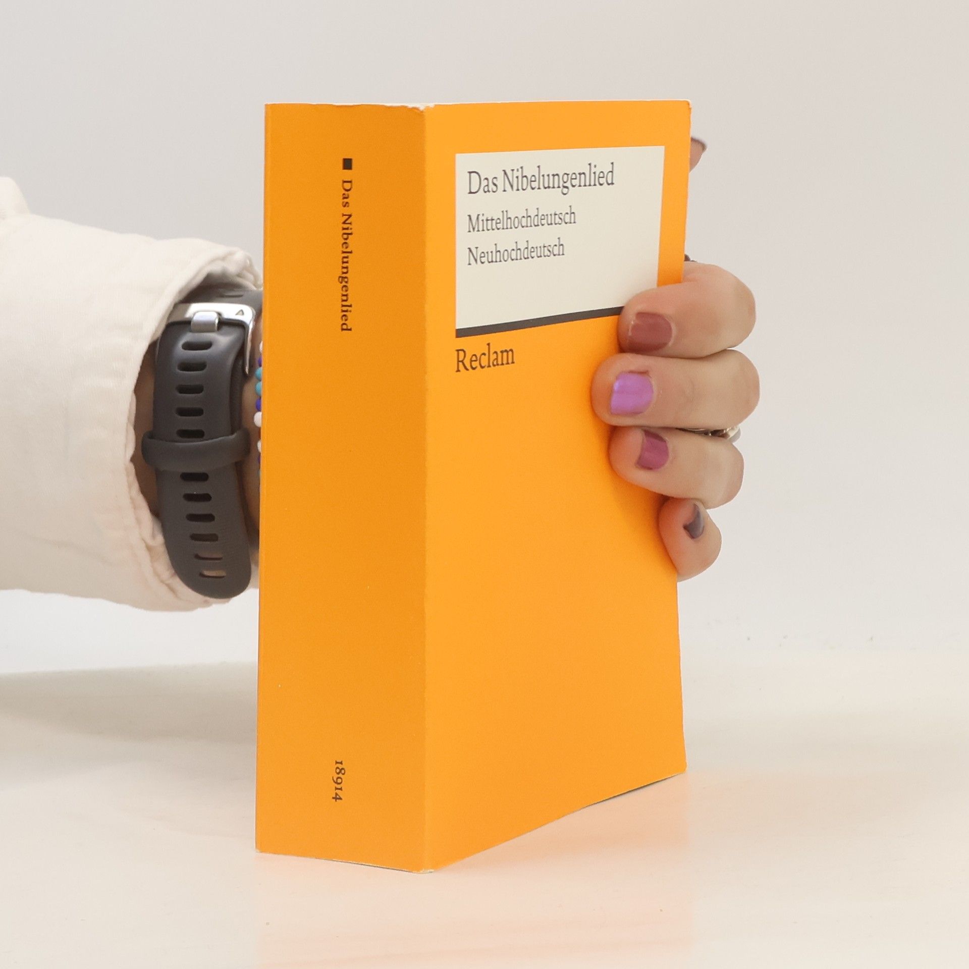 Ursula Schulze Das Nibelungenlied