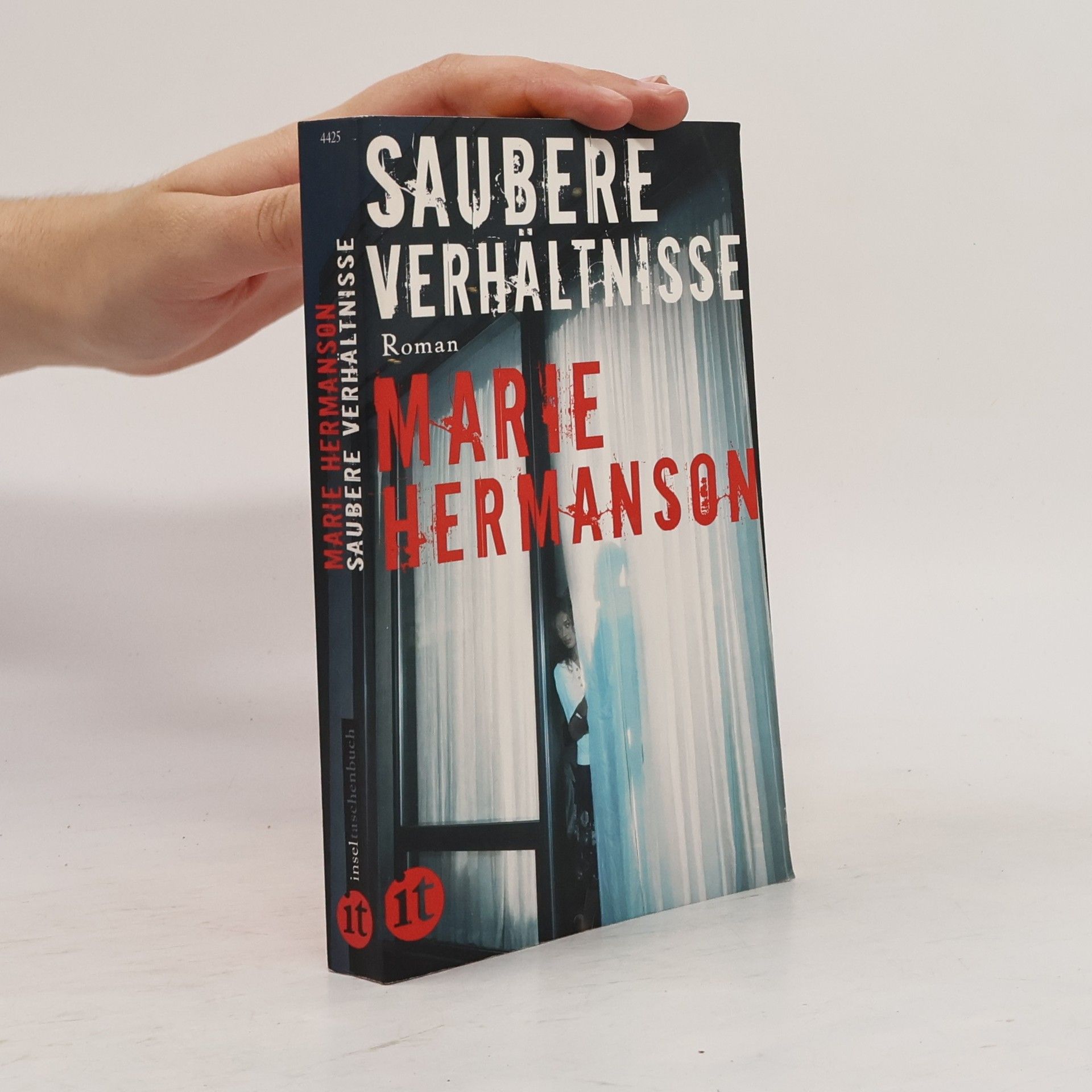 Marie Hermanson Saubere Verhältnisse