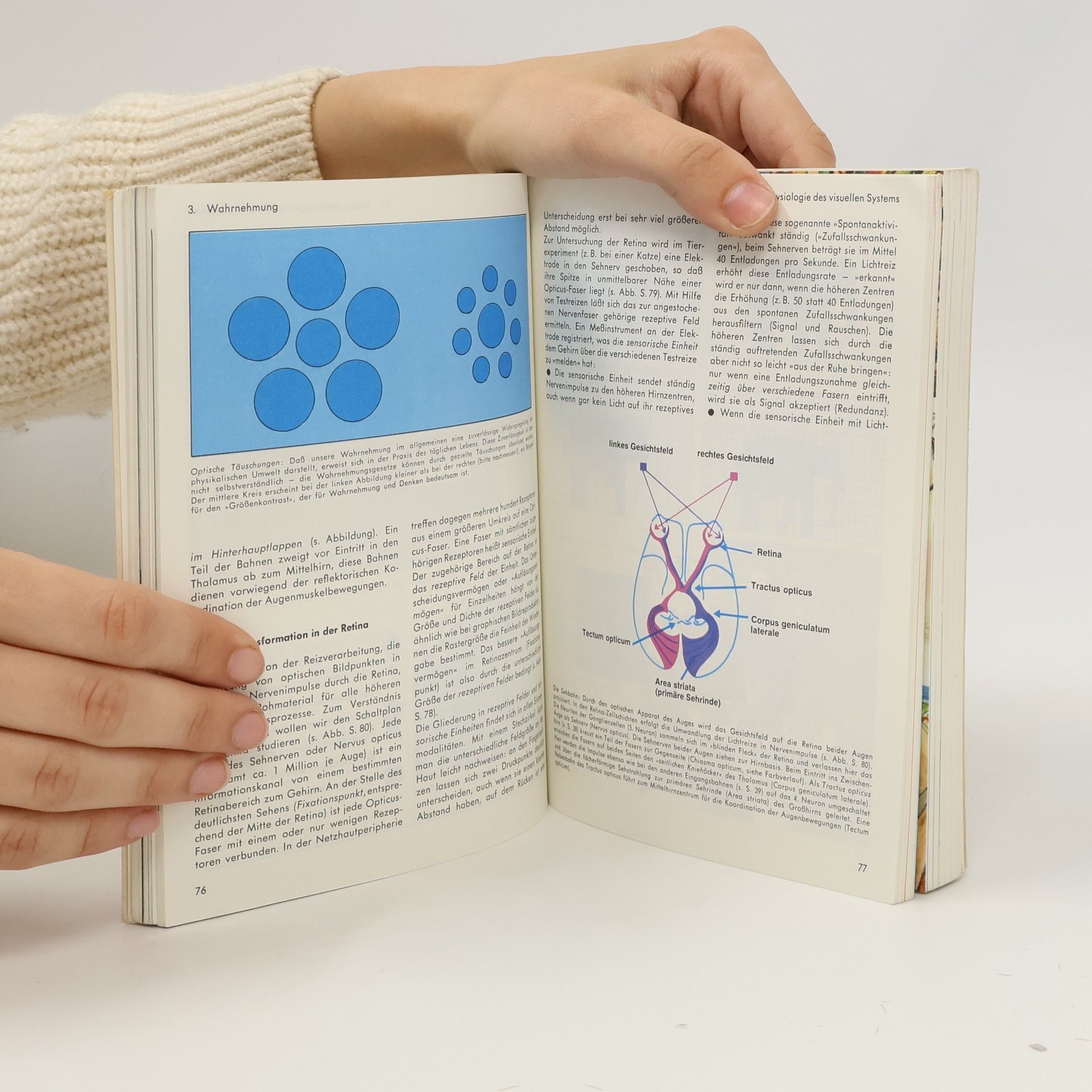 Heiner Legewie Knaurs moderne Psychologie