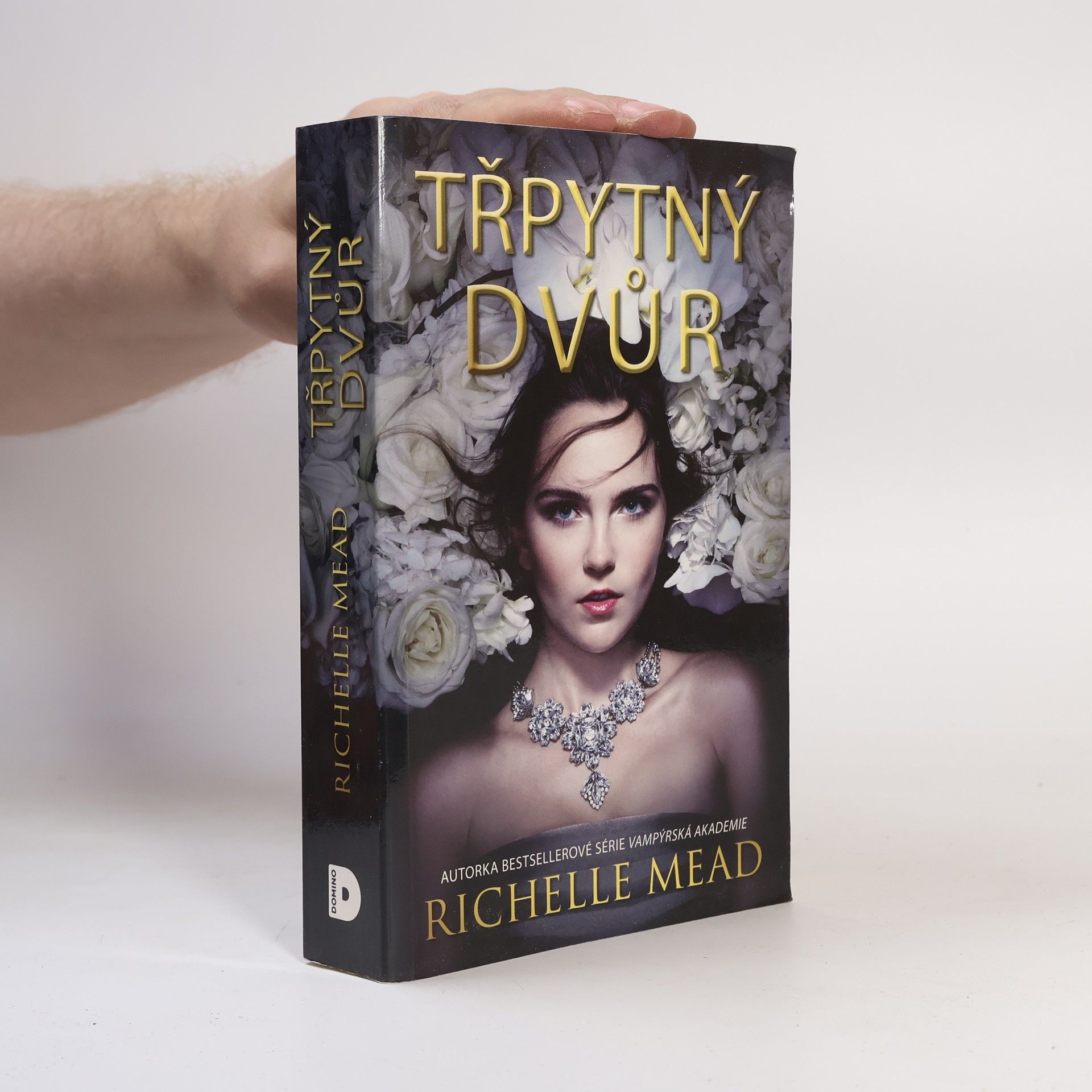 Richelle Mead Třpytný dvůr