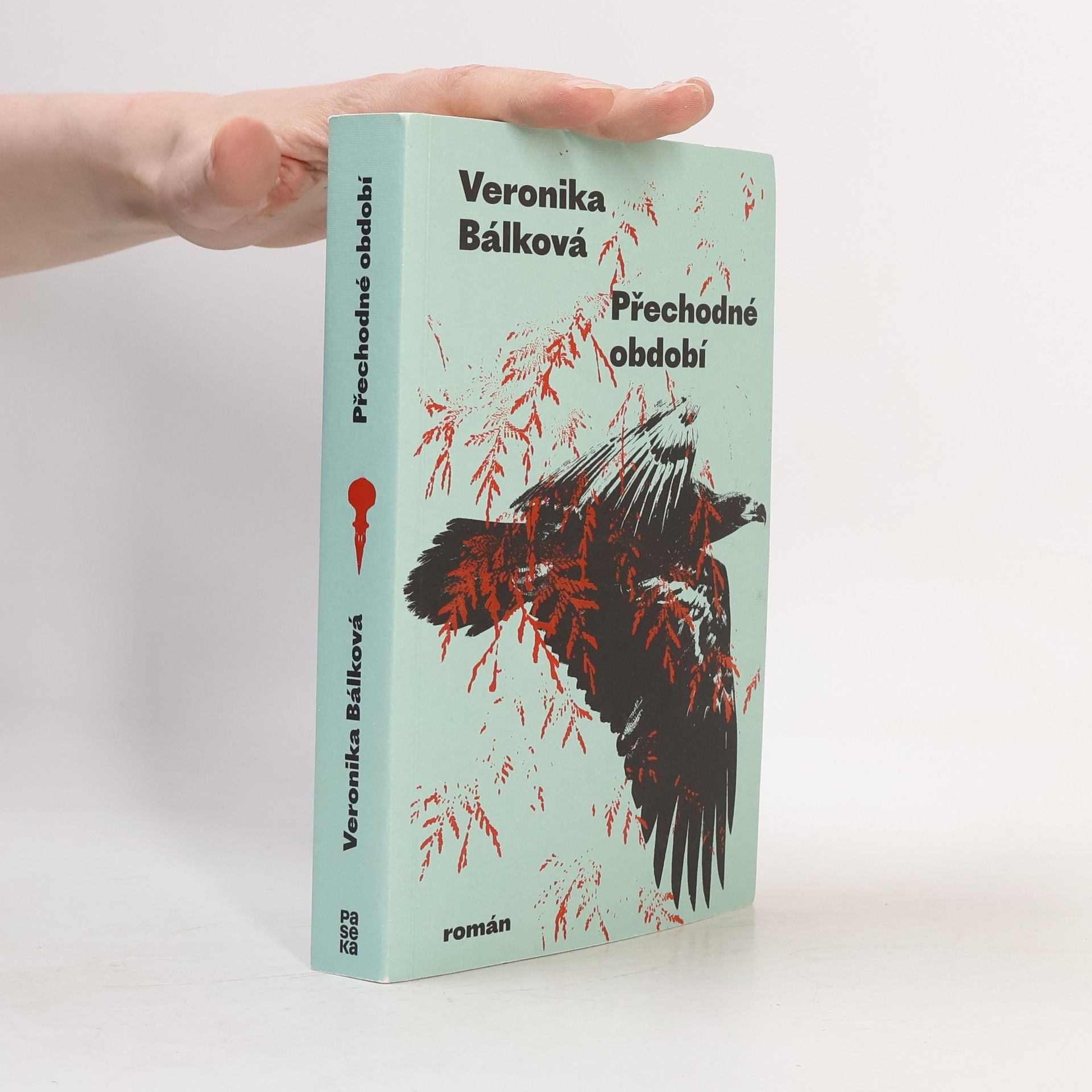 Veronika Bálková Přechodné období