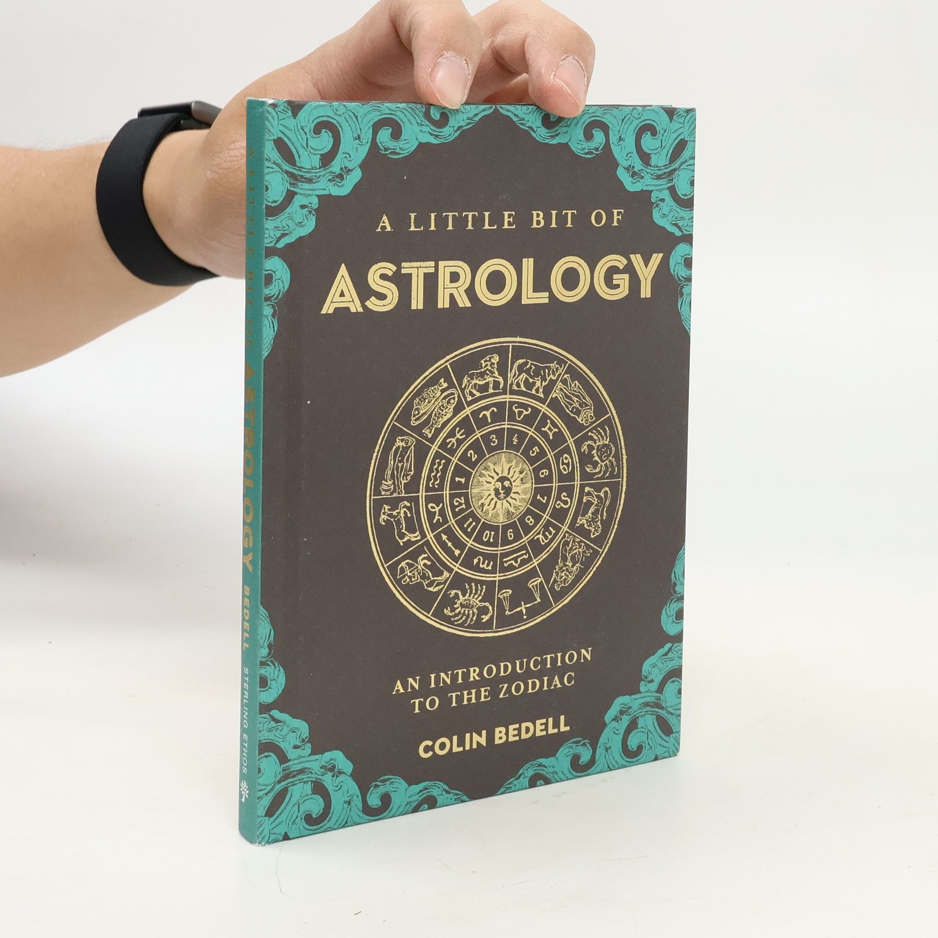 Rebecca Bedell A Little Bit of Astrology