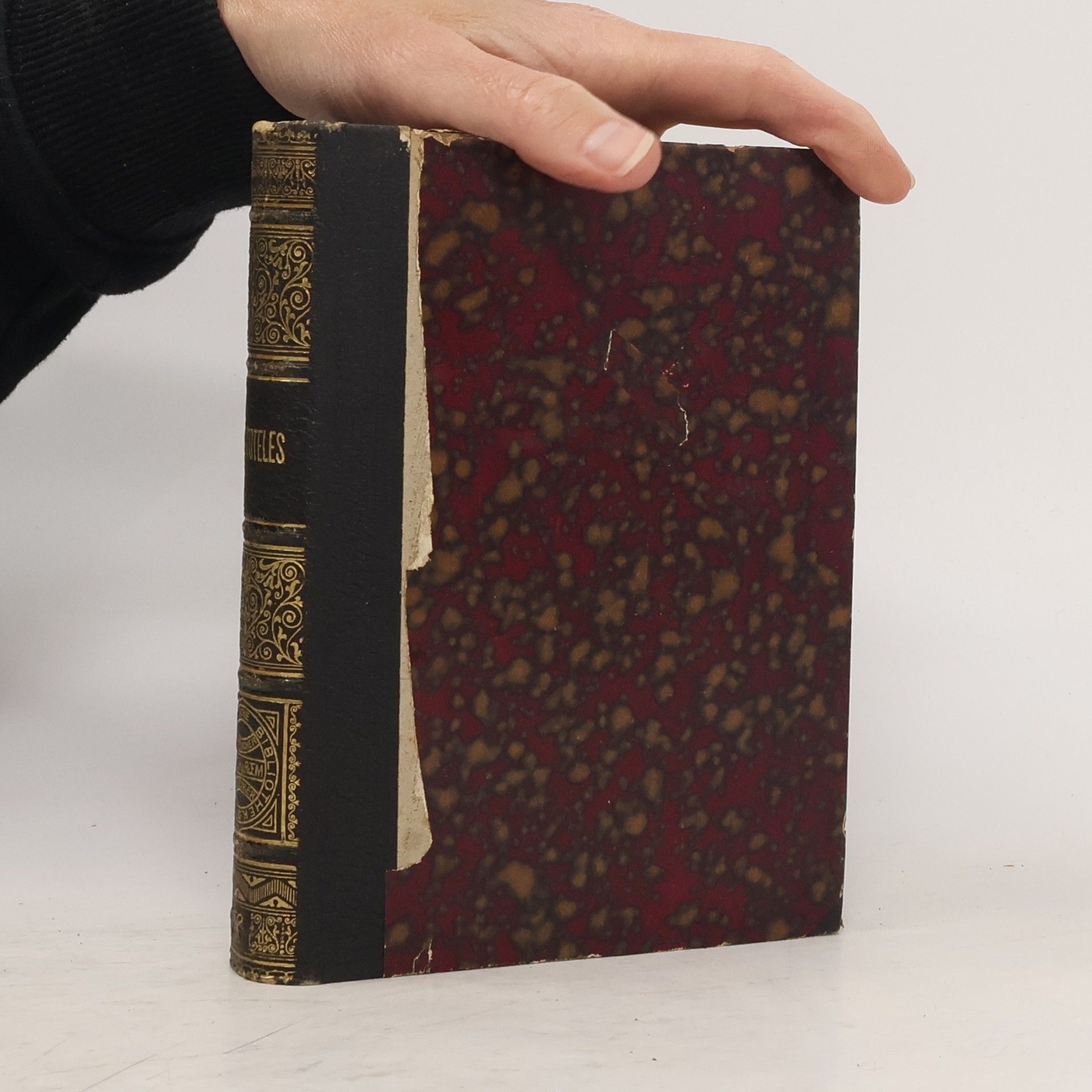 Autorenkollektiv Aristoteles VII