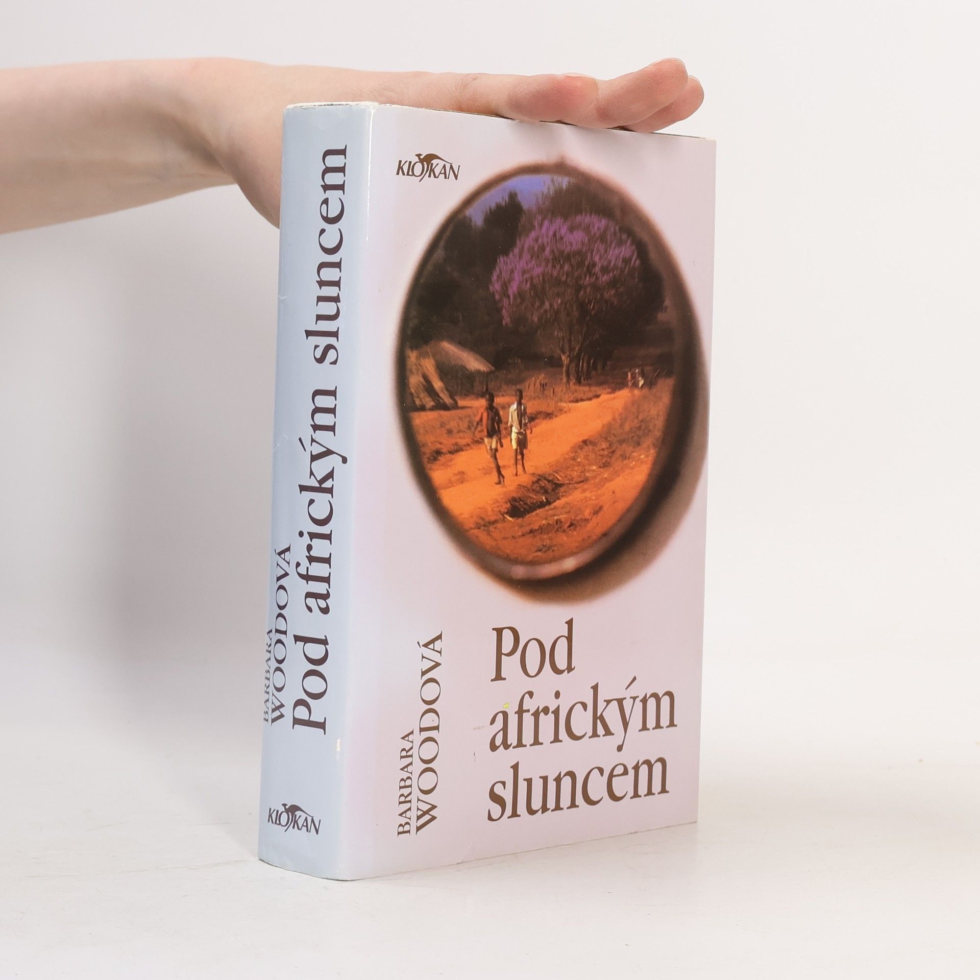 Barbara Wood Pod africkým sluncem