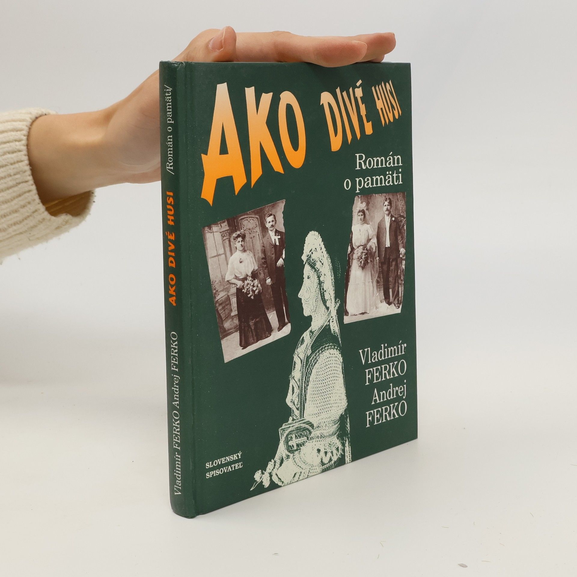 Andrej Ferko Ako divé husi