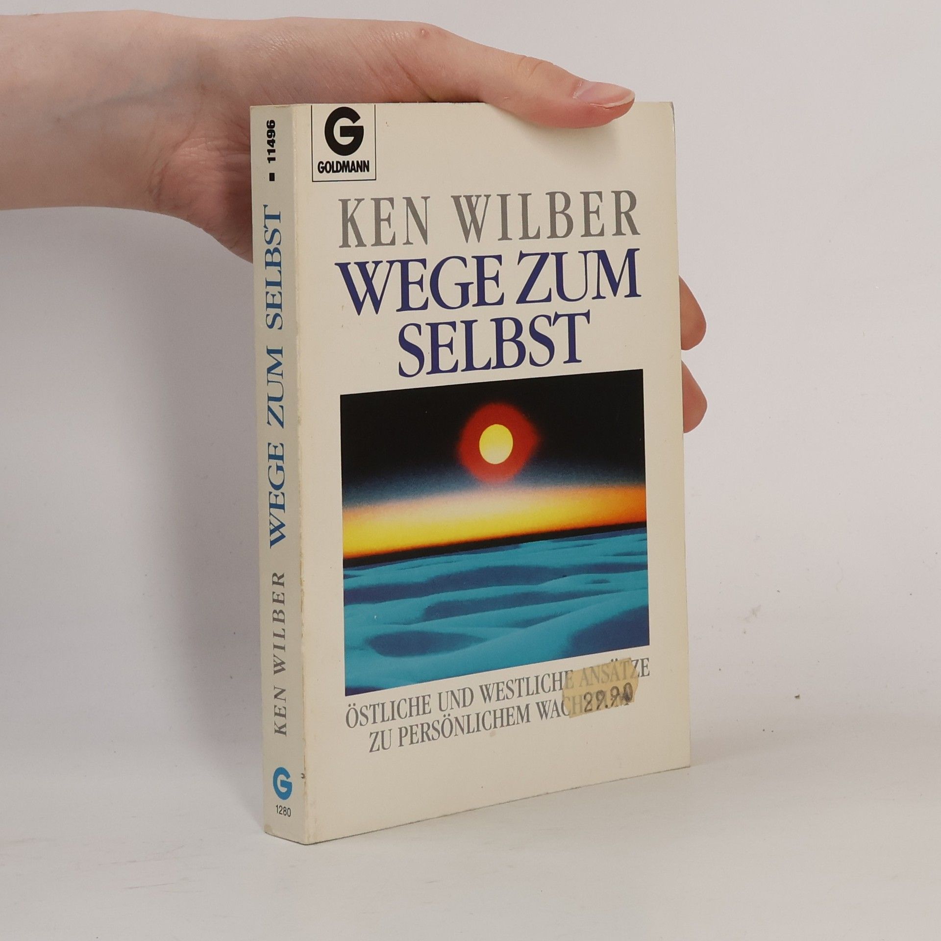 Ken Wilber Wege zum Selbst