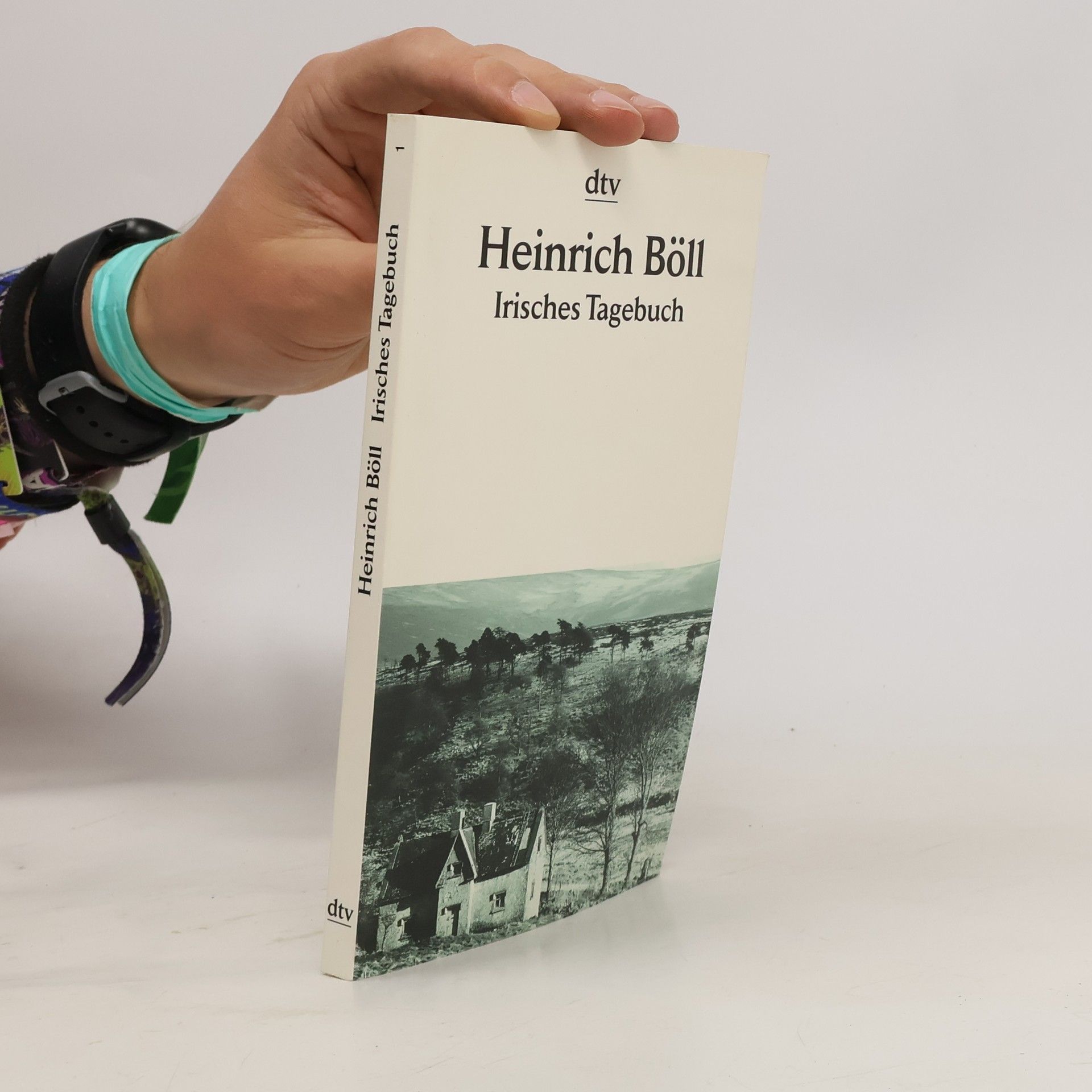 Heinrich Böll Irisches Tagebuch