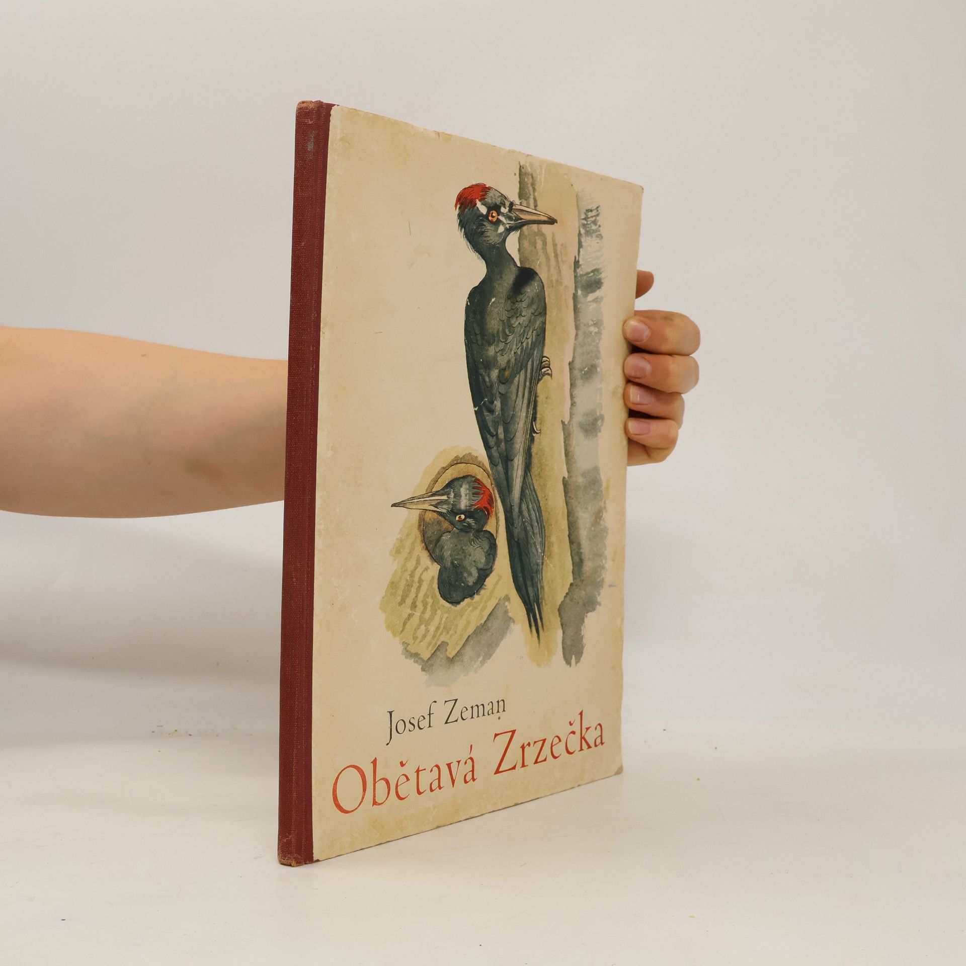 Obětavá Zrzečka